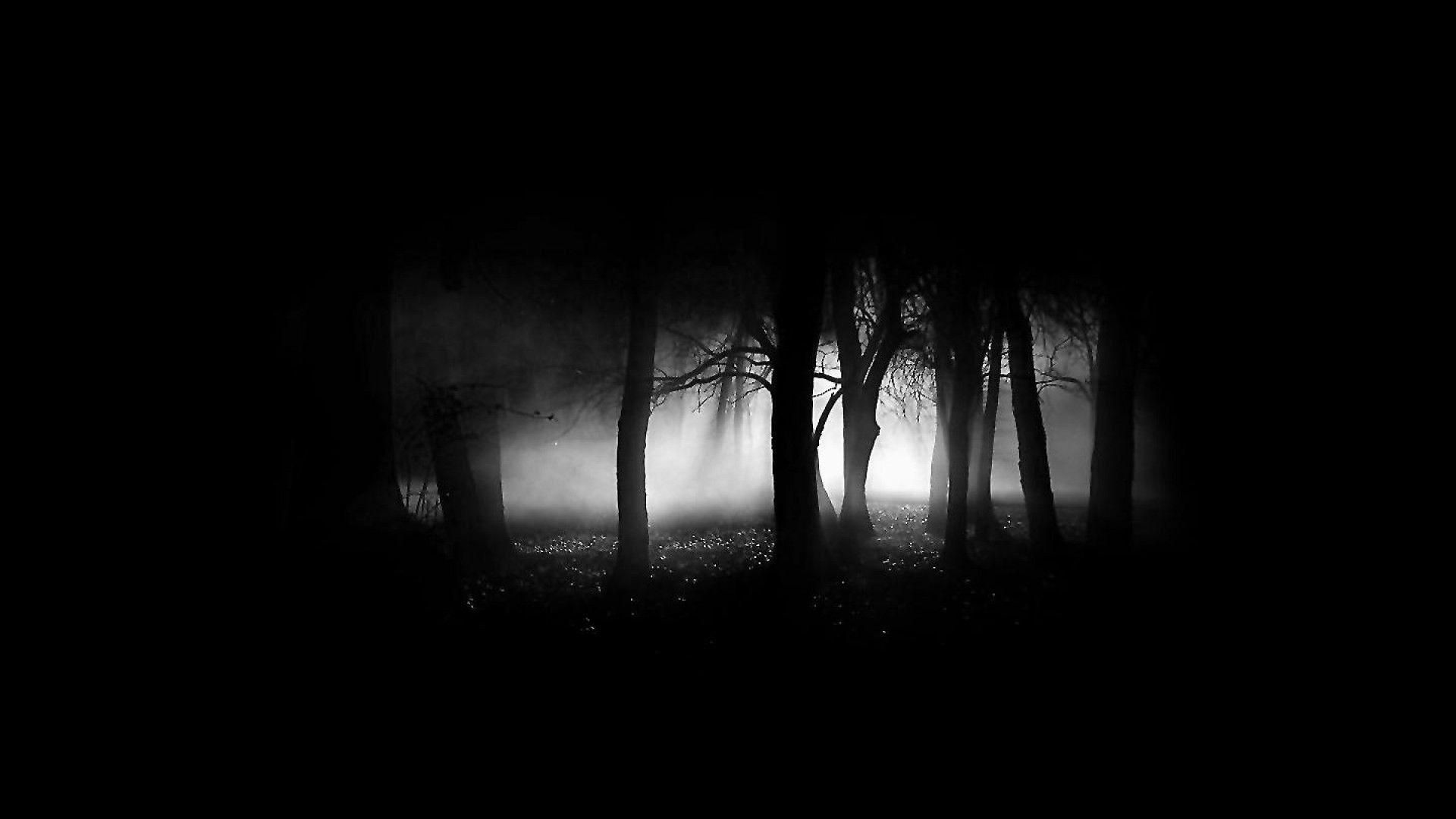 Full HD Marshmallow Amoled Wallpaper. Dark desktop background, Black wallpaper, Black flowers wallpaper