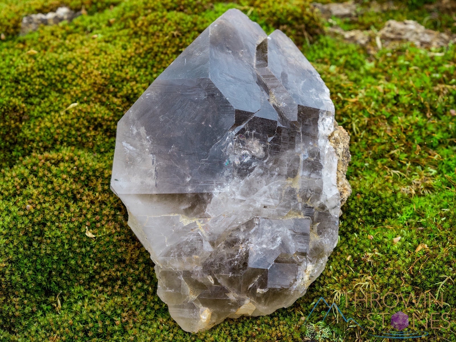 SMOKY QUARTZ Crystal Large Crystals Raw Rocks and Minerals