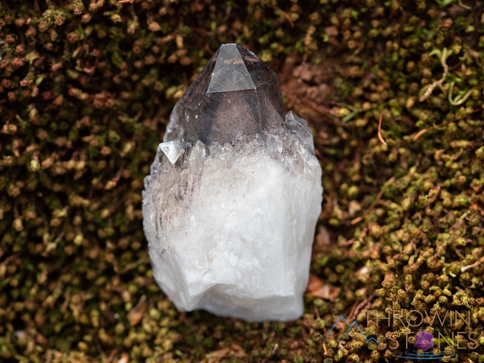 SMOKY QUARTZ w HEMATITE Phantom, Raw Crystal Cluster Gi