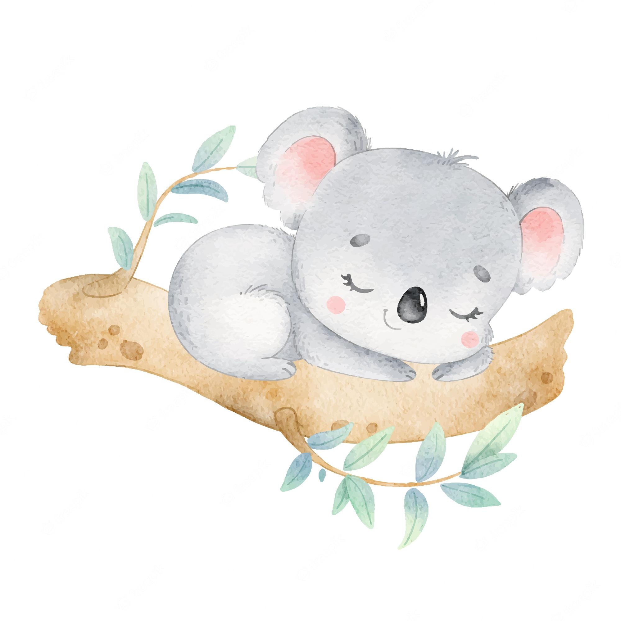 Valentines Koalas Wallpapers - Wallpaper Cave