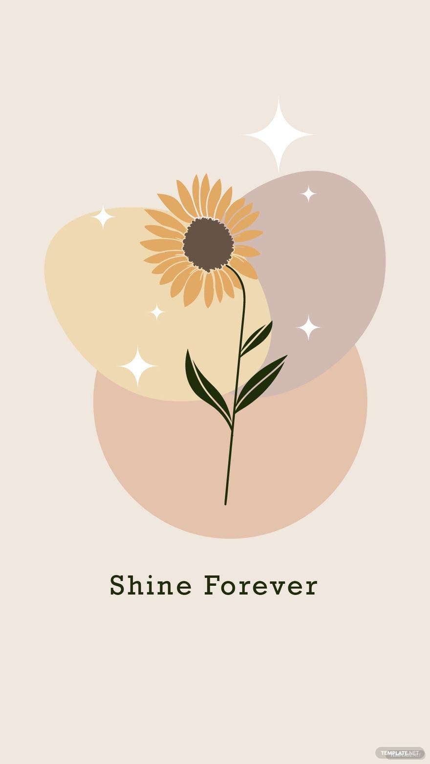 Sunflower Wallpaper , Free, Download