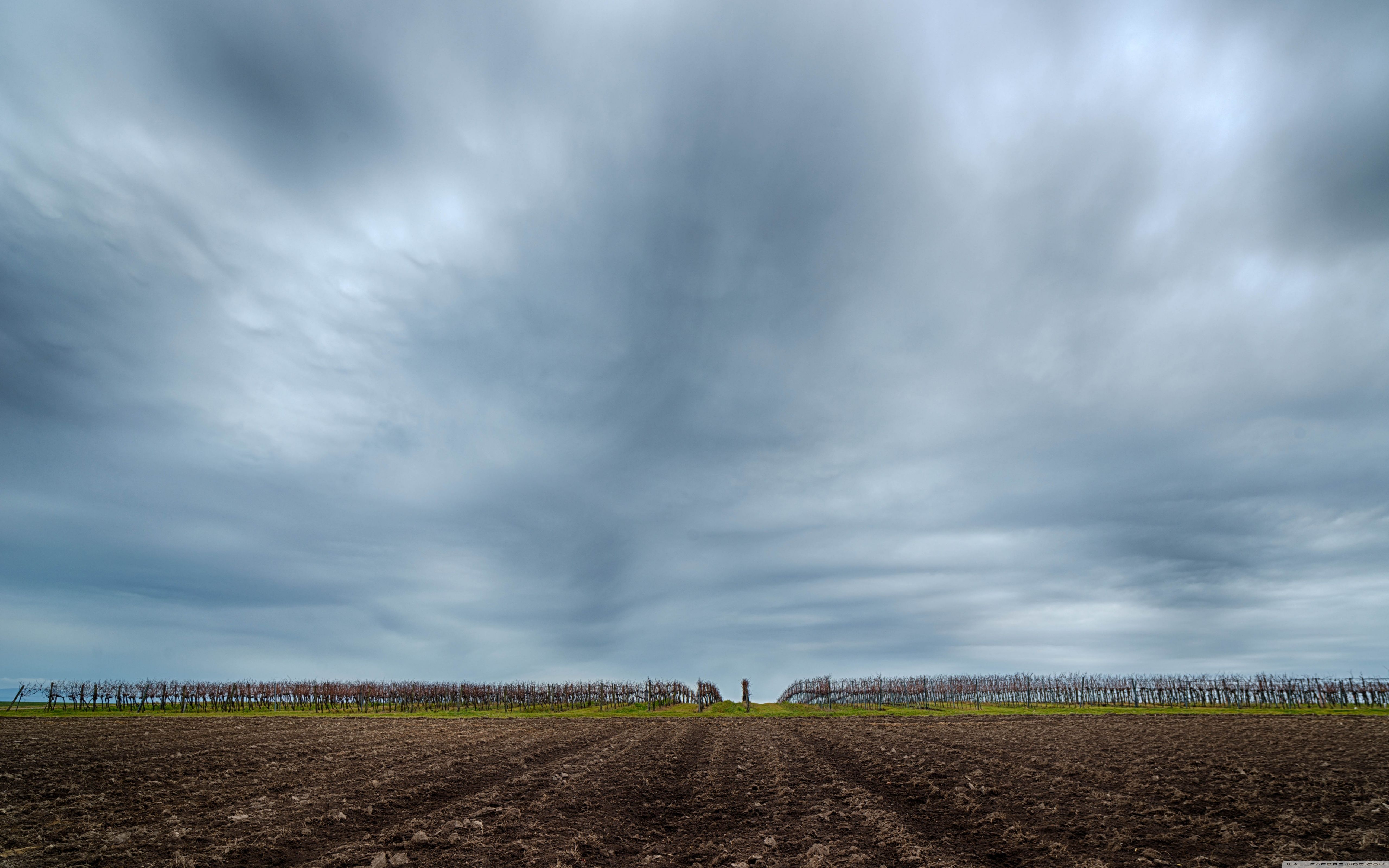Winter Sky Wallpaper