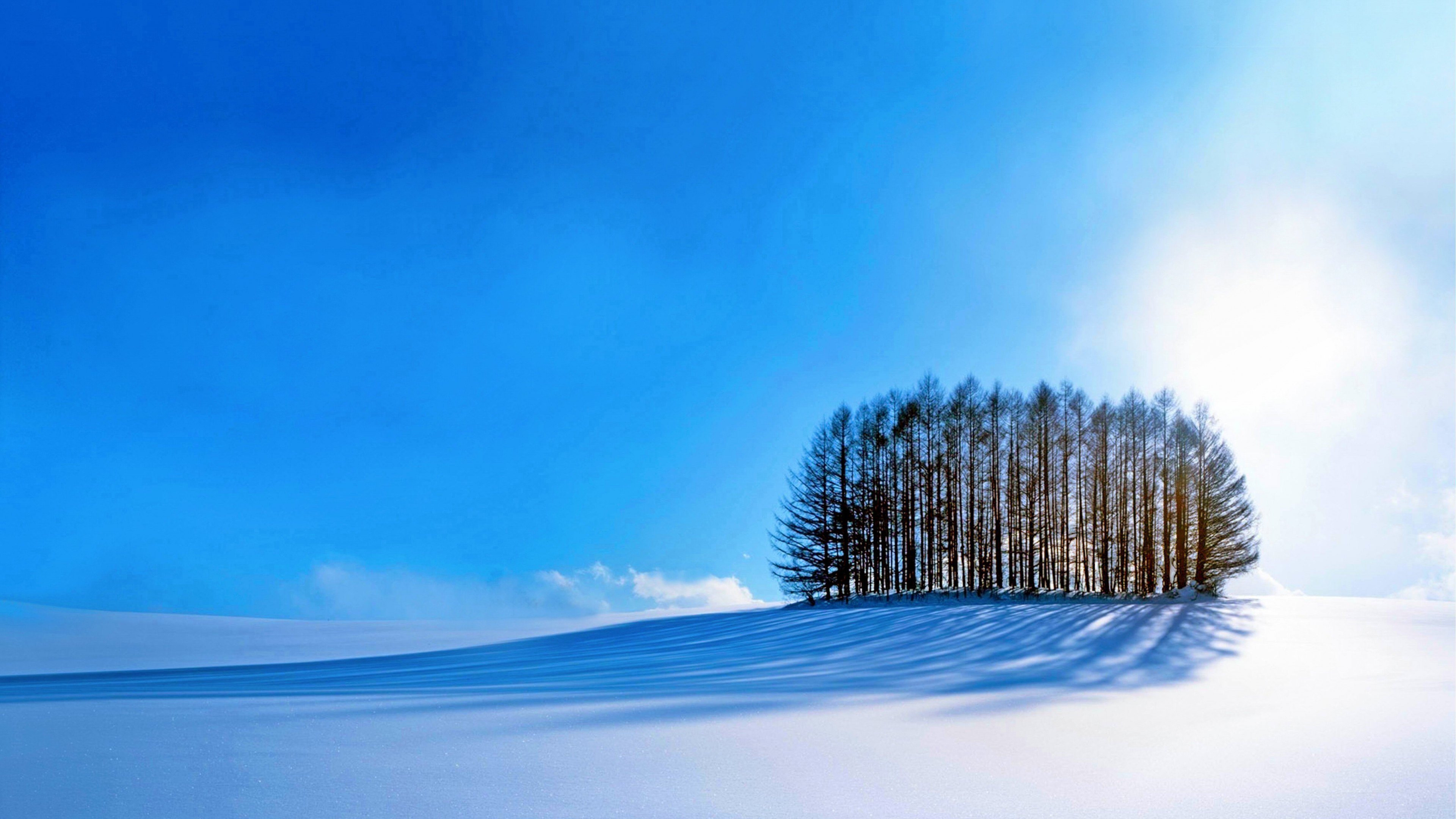 Wallpaper trees, sky, snow, winter, 4k, Nature