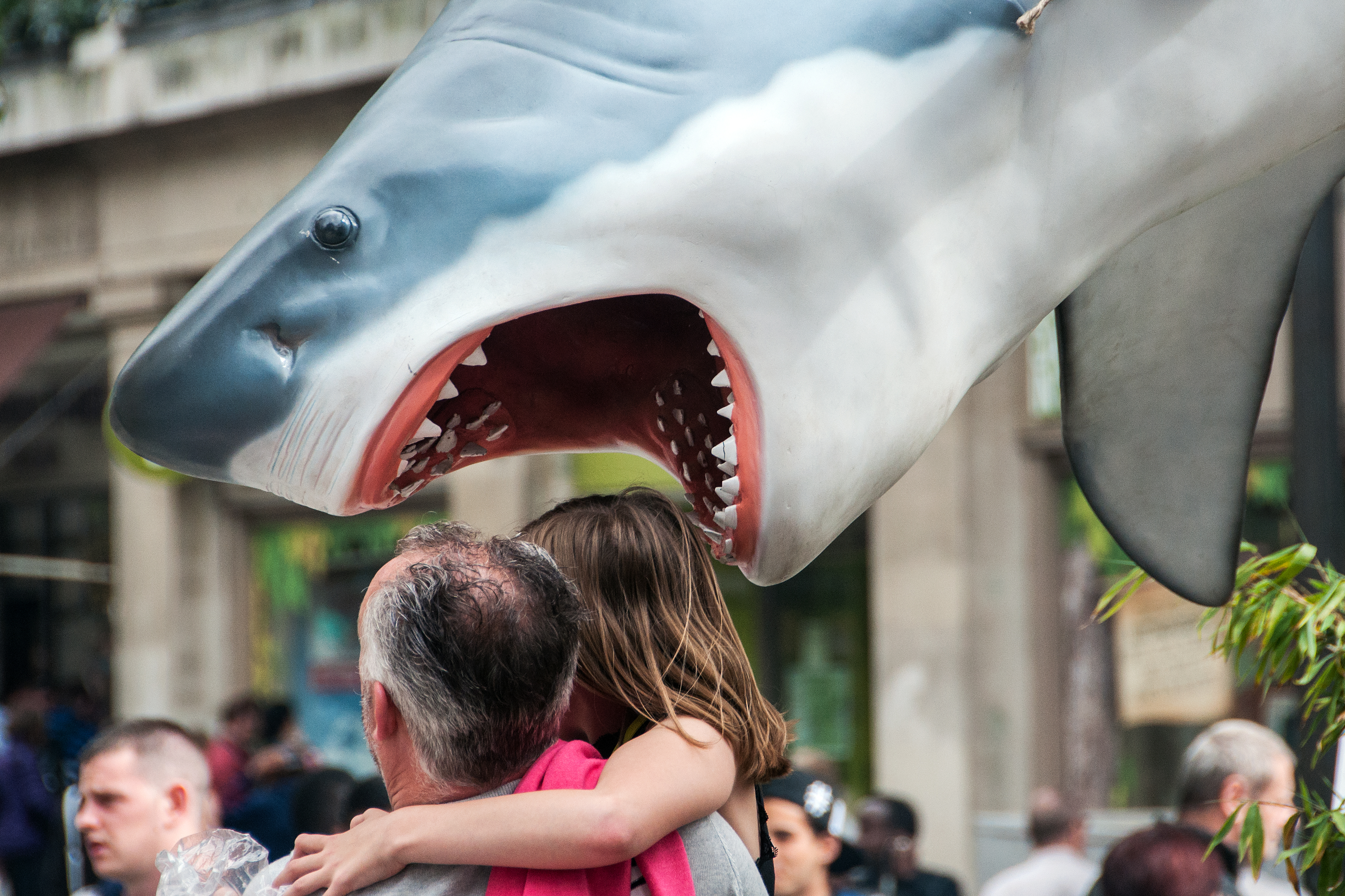 Wallpaper, photography, shark, tim, display, photo, photographs, dennell, timdennell, dennel, sharknado, timdennel, timdenel 3941x2627