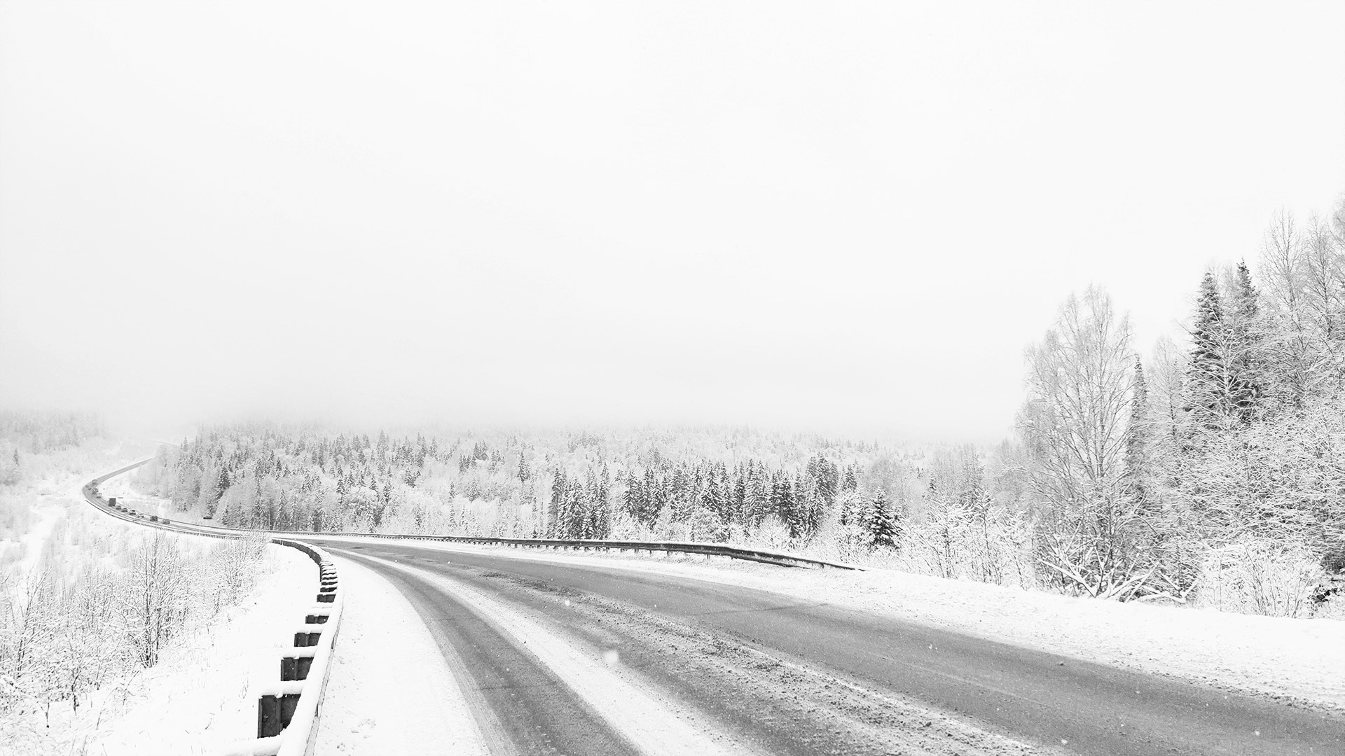winter, monochrome, forest, road, photography, minimalism, snow, trees, white Gallery HD Wallpaper