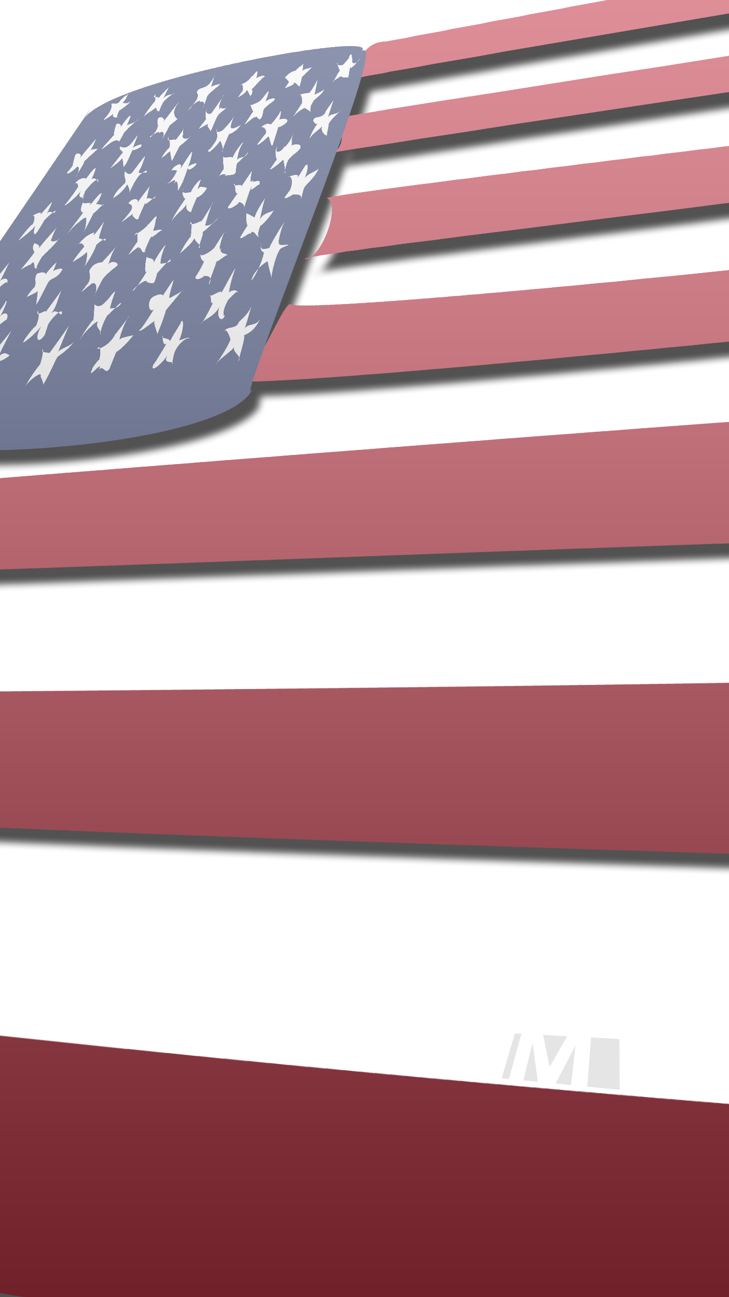 FLAG DISPLAY DAYS 2023 visual data 3