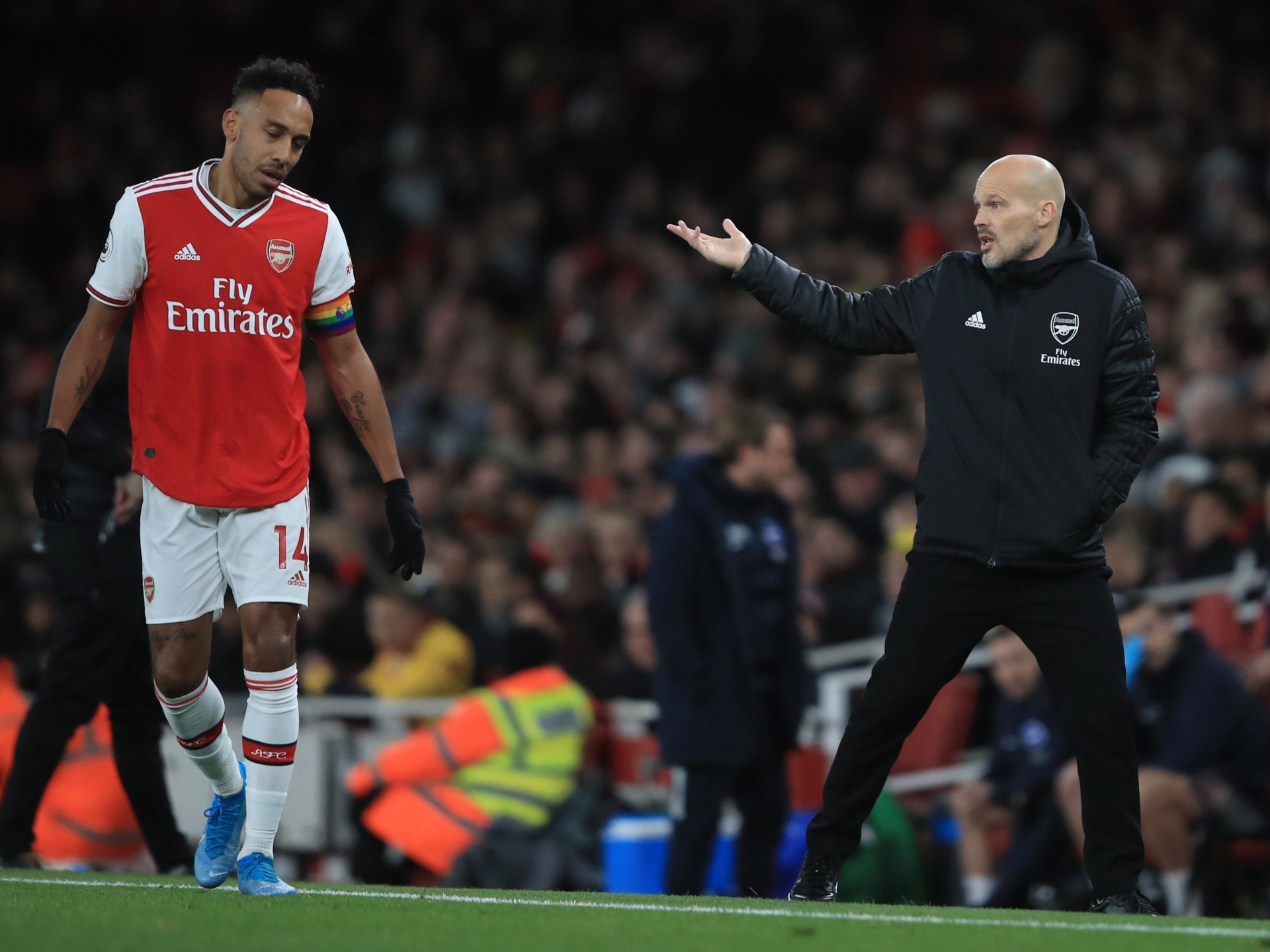Freddie Ljungberg Defends Arsenal Captain Pierre Emerick Aubameyang. After Striker Took TOILET BREAK During Brighton Defeat