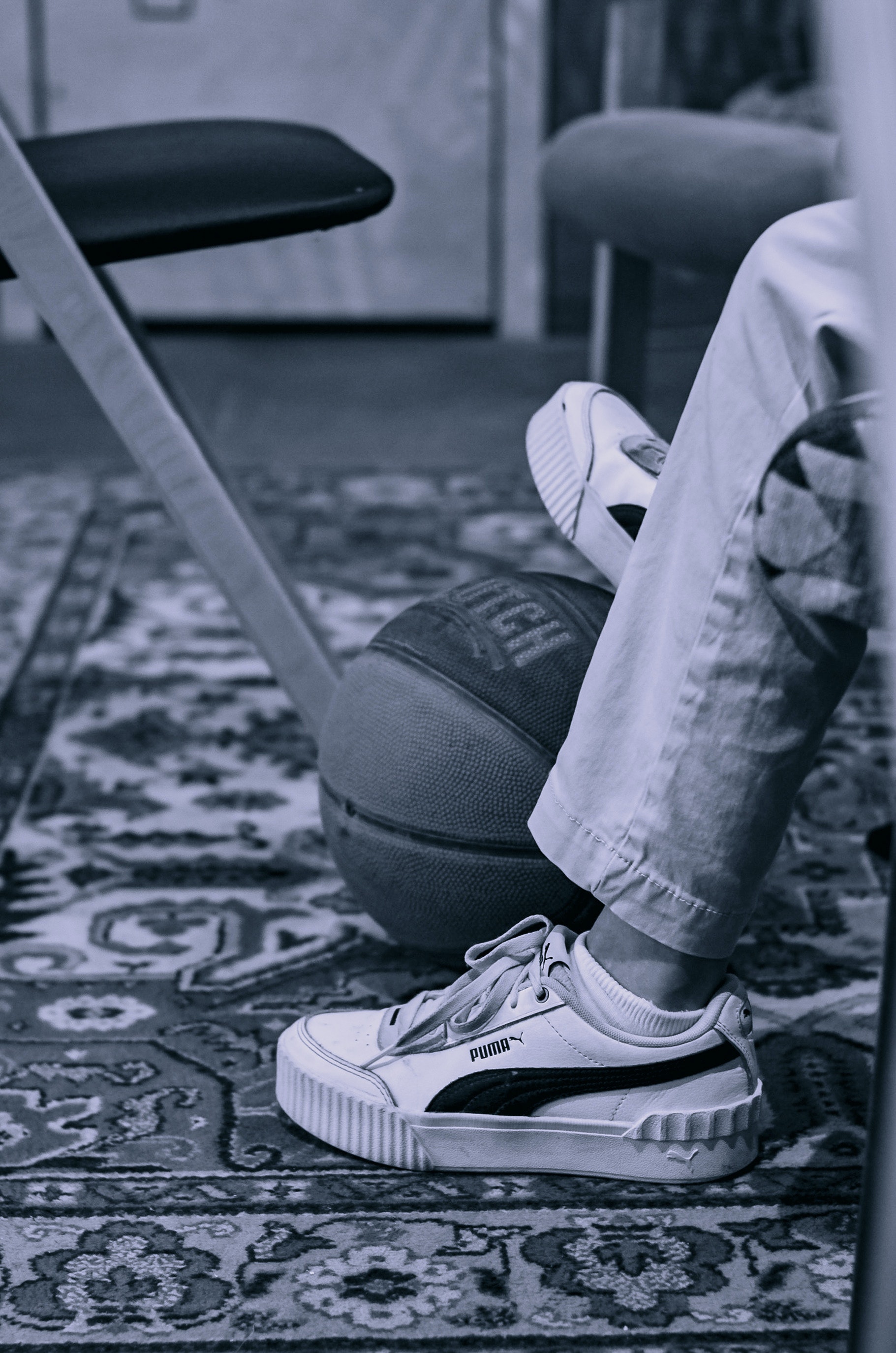 Puma Photo, Download Free Puma & HD Image