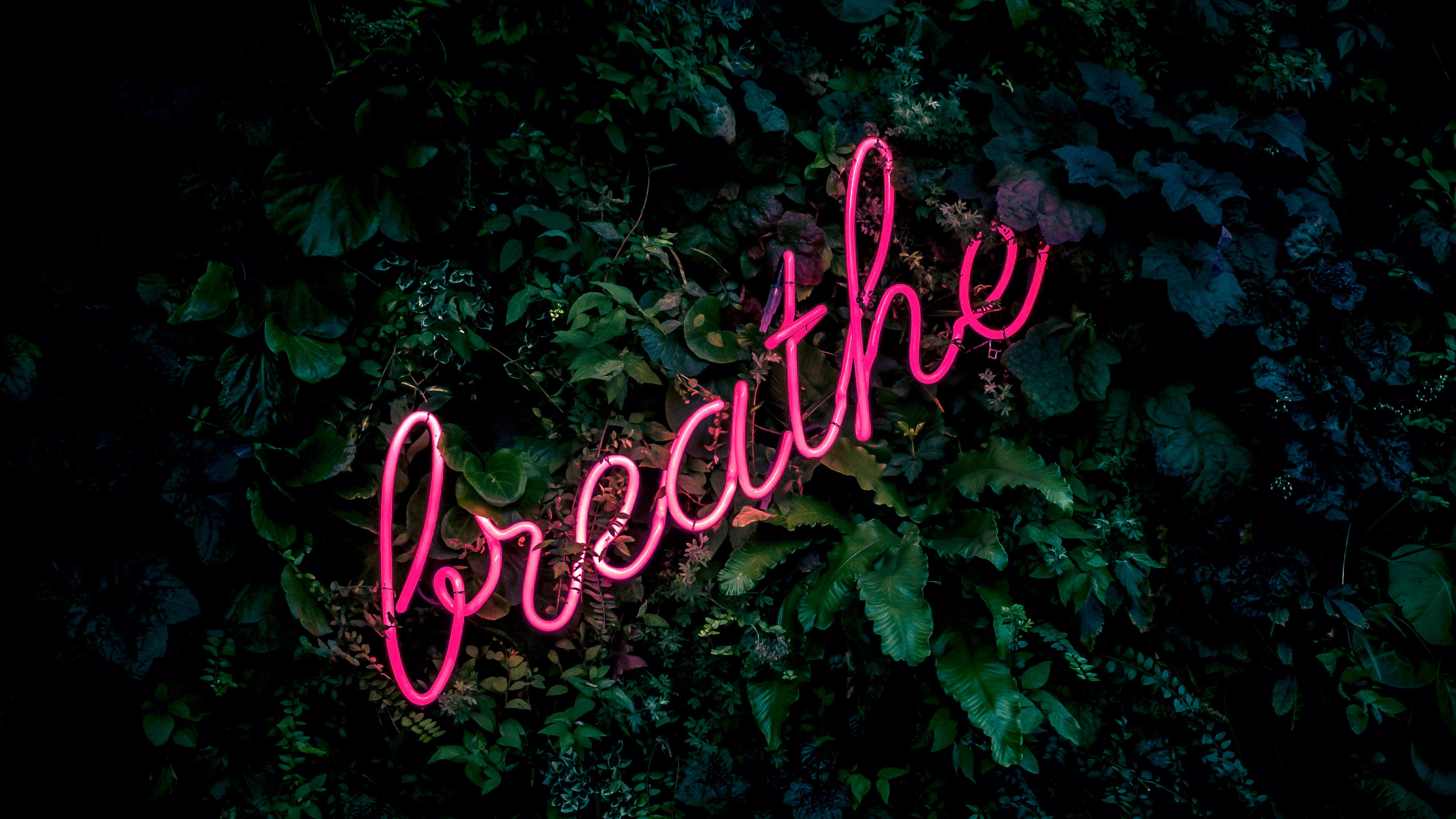 Breathe Wallpaper 4K, Neon sign