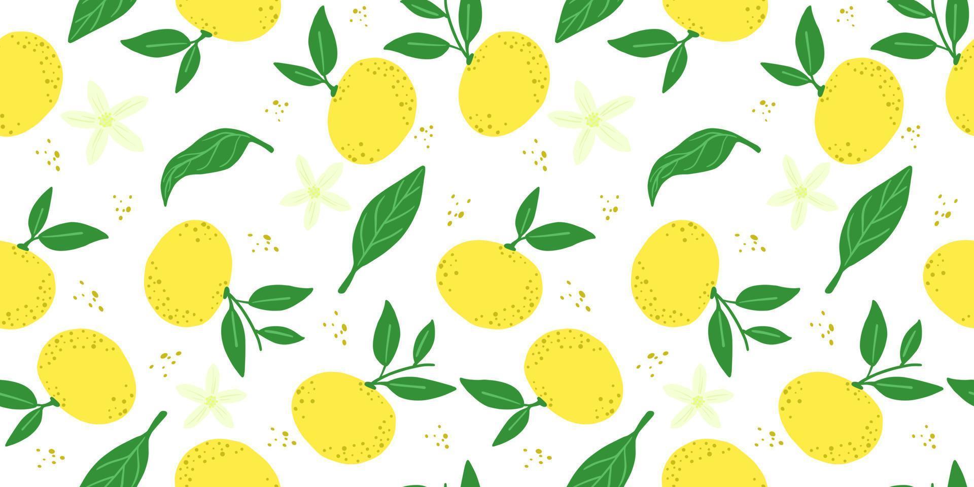 Yellow citrus fruits seamless pattern on white. Tangerines endless wallpaper. Cute food backdrop