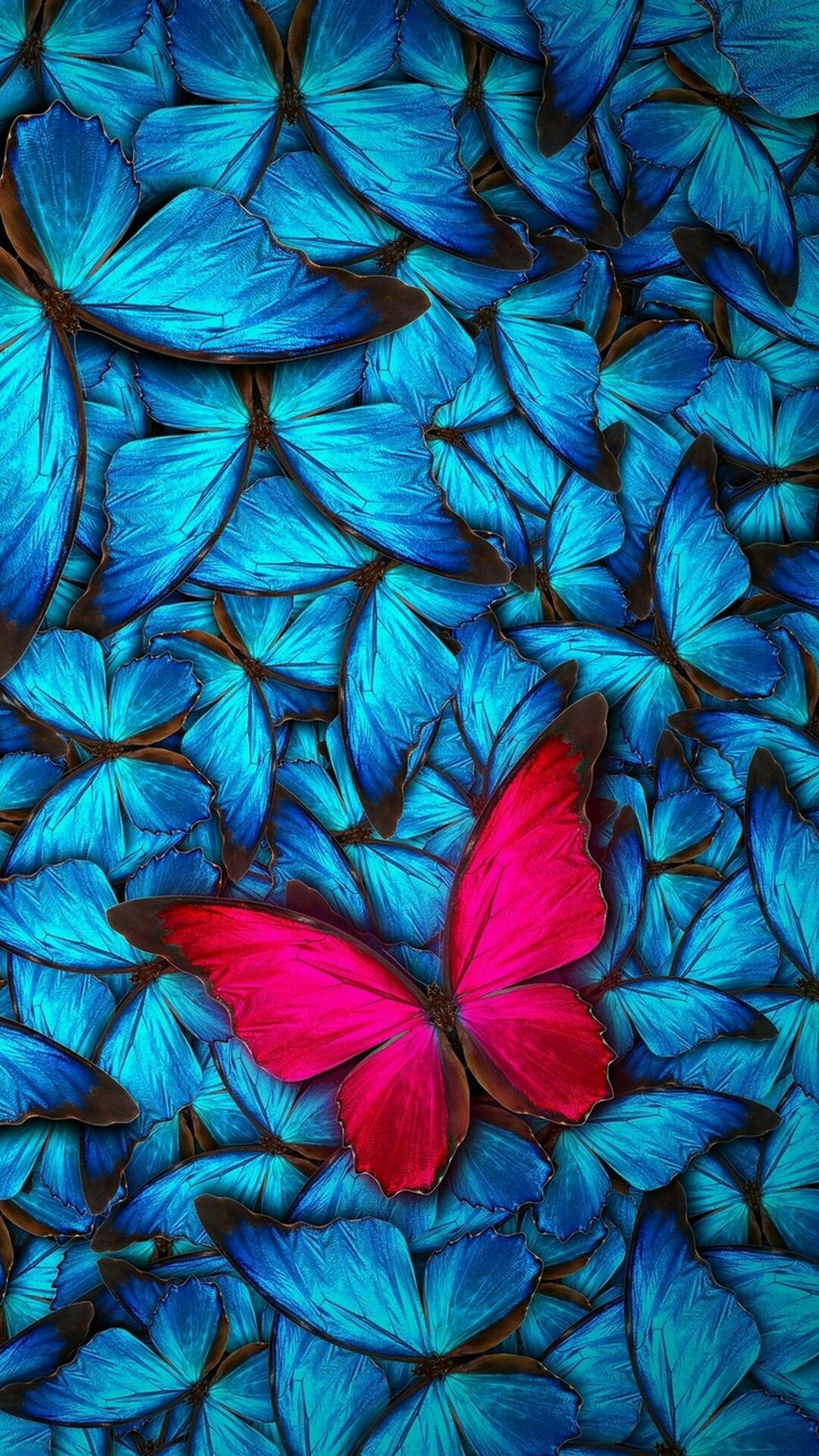 Épinglé par Наталия Непомнищих sur Wallpaper for iphone. Fond d'écran coloré, Photo papillon, Peinture papillon
