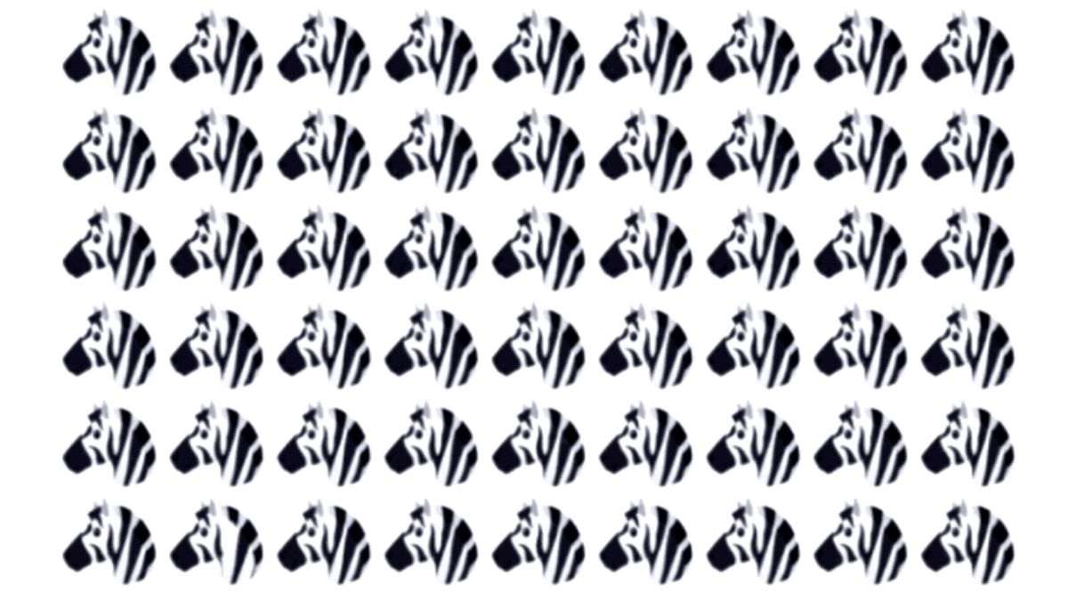 Brain Teaser Picture Puzzle: Find Odd One Out among Zebras in 10 seconds