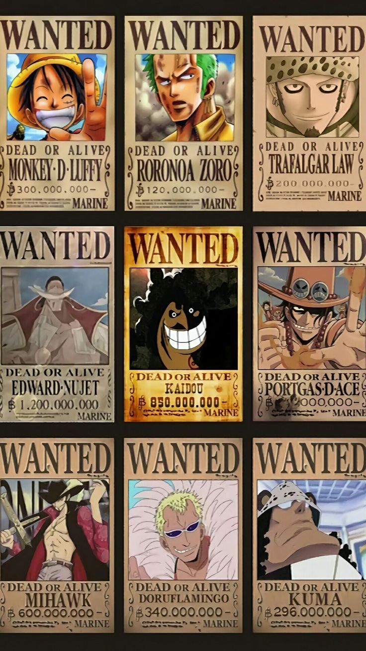 Are these the real bounty one piece wanted posters?. Desenho de anime, Desenho de pessoas, Fotos de anime legais