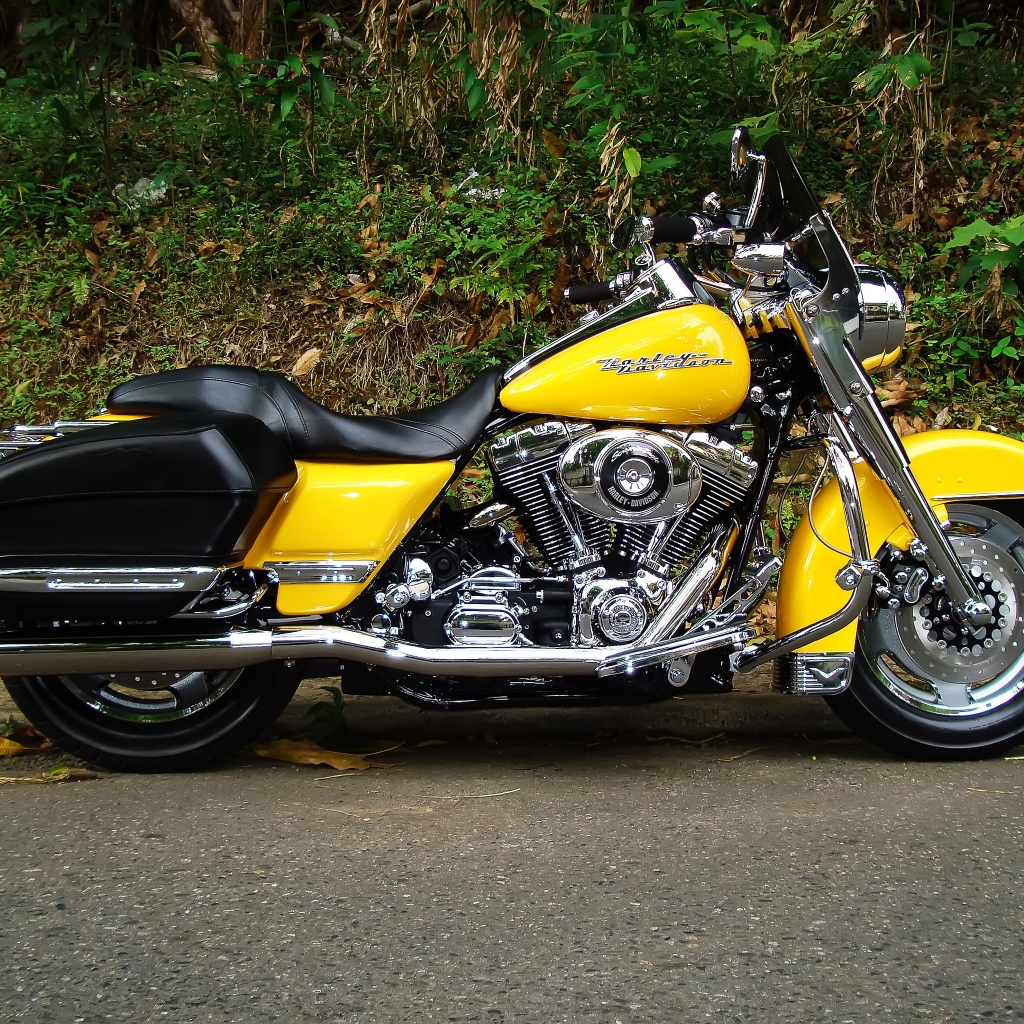 Harley Davidson Road King Yellow 1024 x 1024 iPad Wallpaper