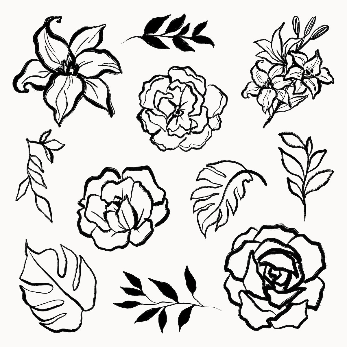 Flower Drawing Vectors. Free Illustrations, Drawings, PNG Clip Art, & Background Image