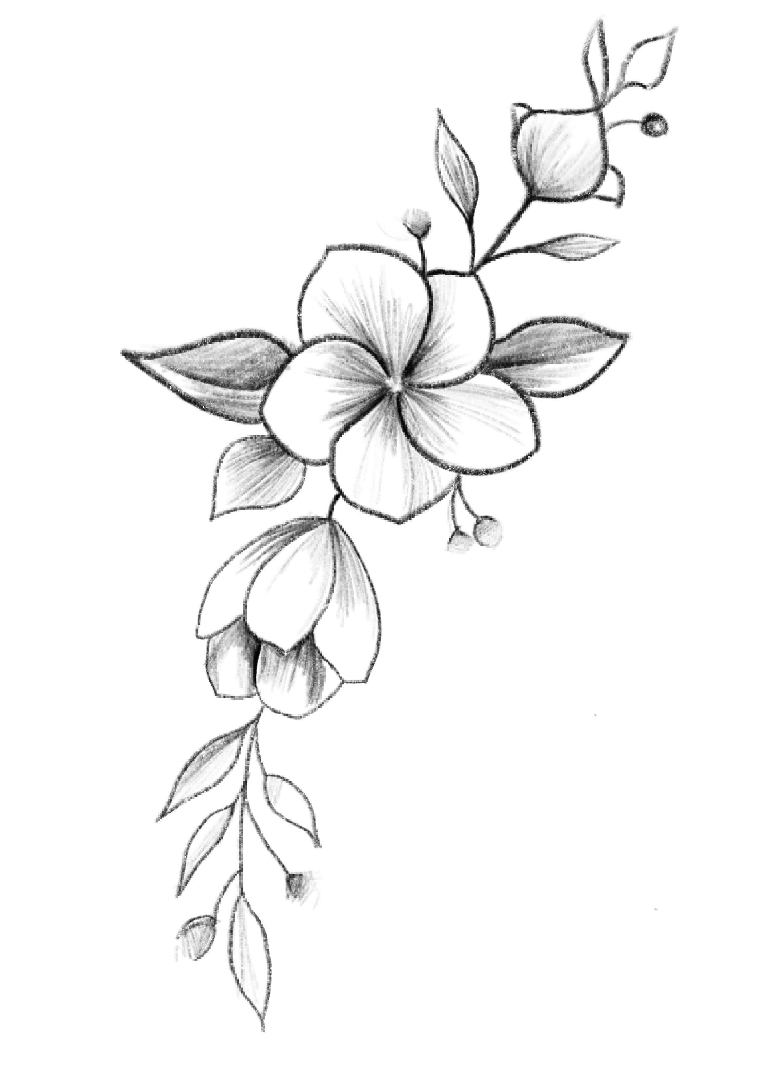 Tattoodesign. Beautiful flower drawings, Flower drawing, Pencil drawings of flowers