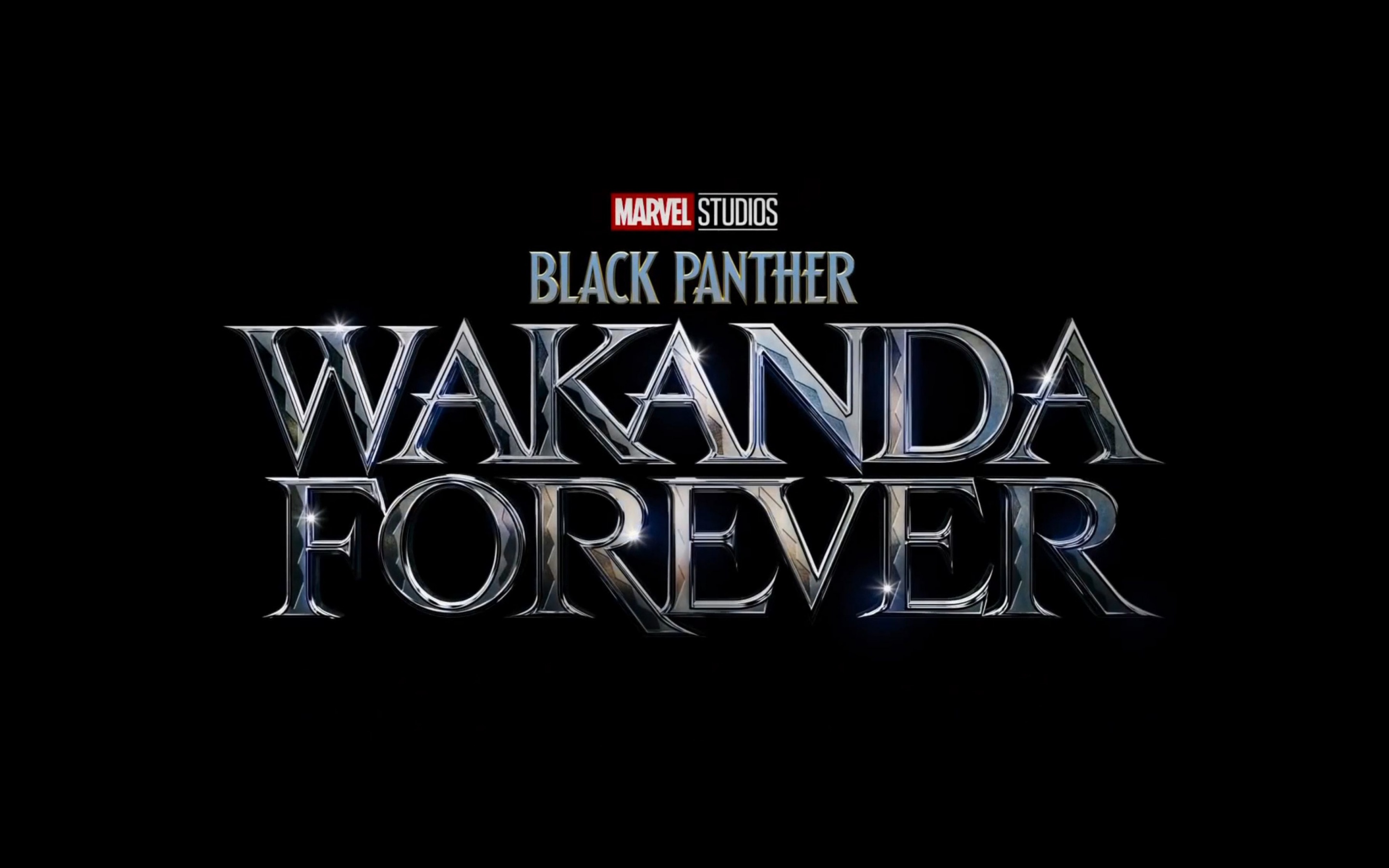 Black Panther: Wakanda Forever Wallpaper 4K, 2022 Movies, Movies