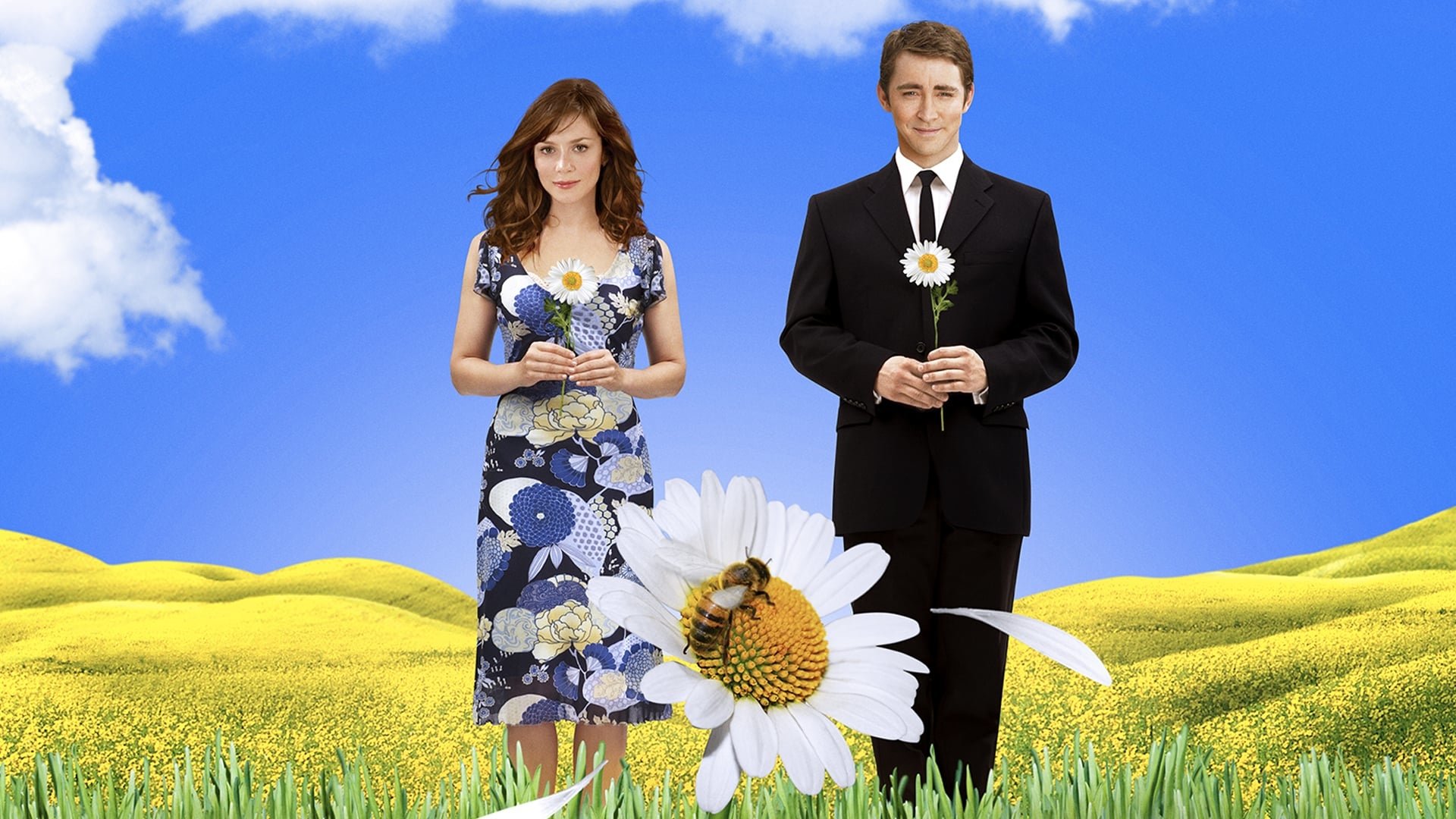 Ned (Pushing Daisies) HD Wallpaper and Background