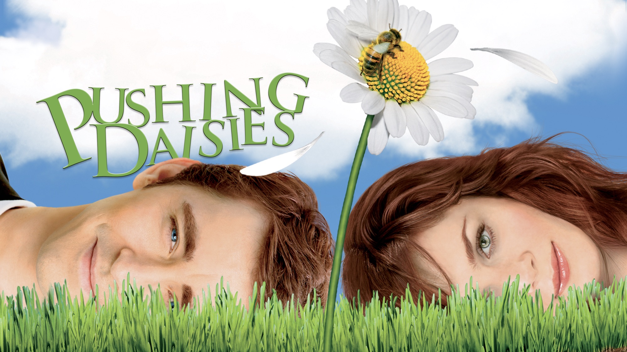 Pushing Daisies HD Wallpaper