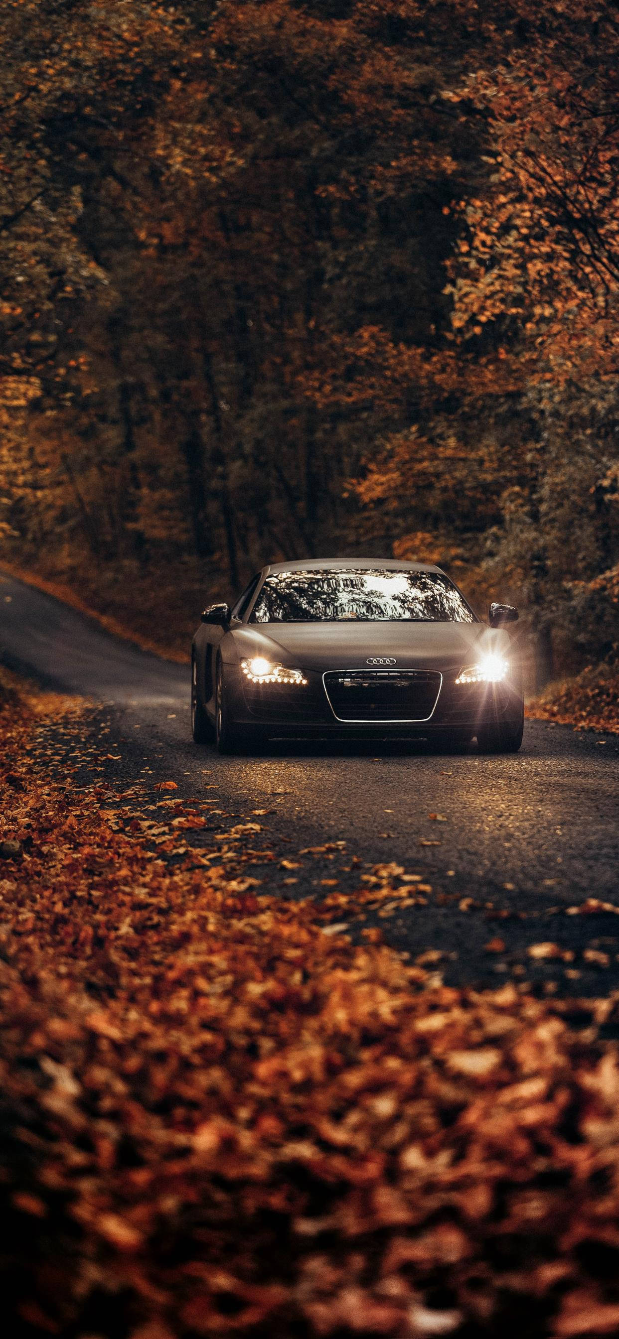 Download iPhone X Car Audi R8 Autumn Wallpaper