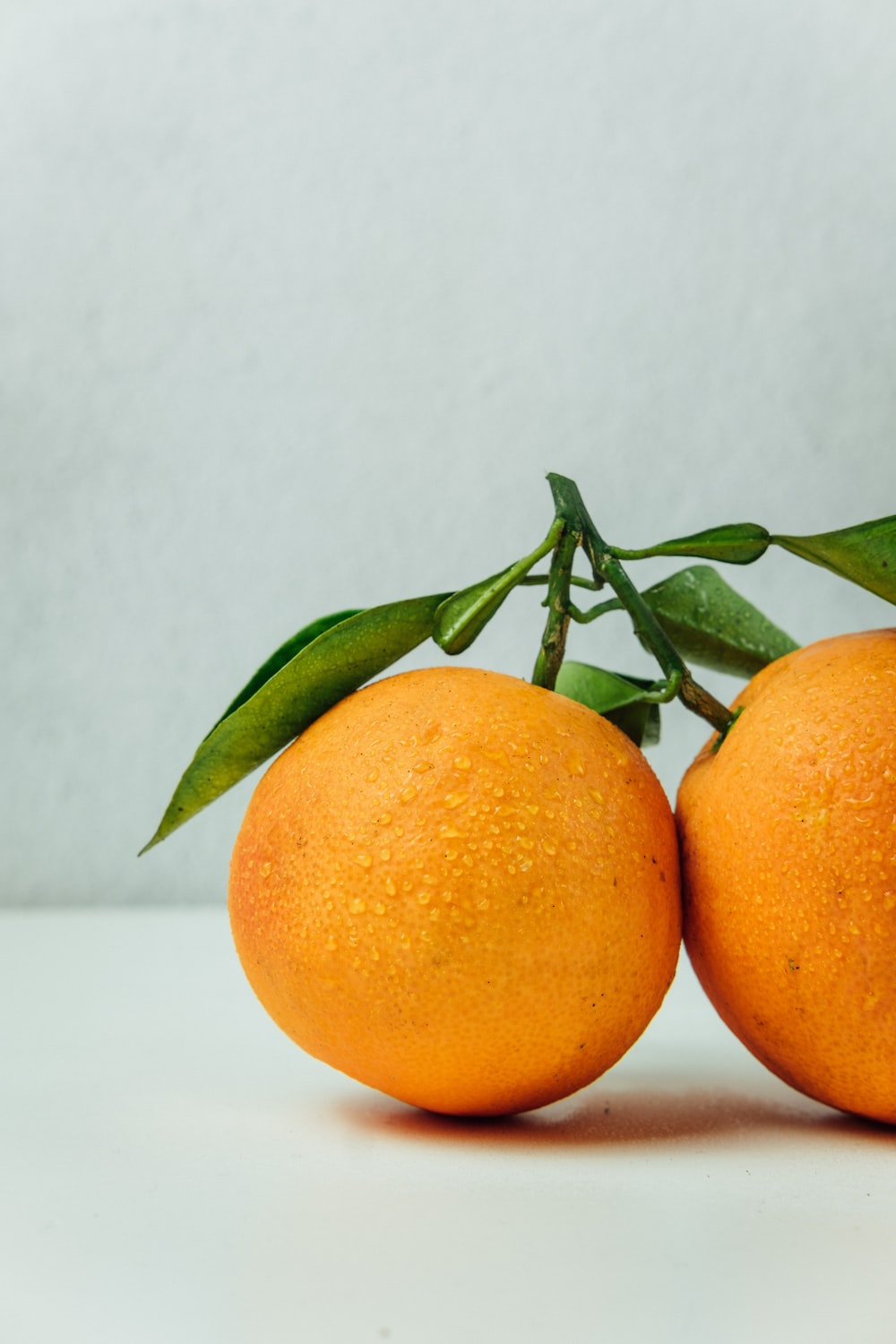 Orange Fruit Picture. Download Free Image