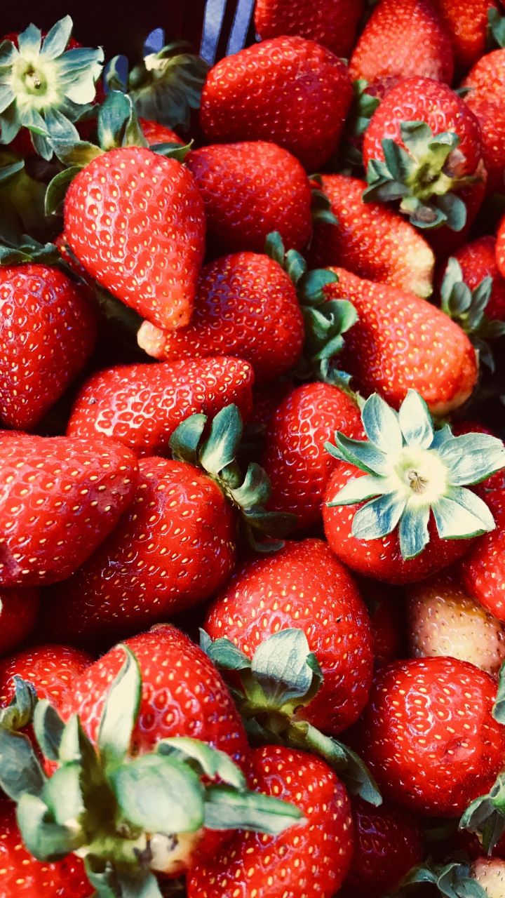Red fruits, strawberries, fresh, 720x1280 wallpaper. Fruit wallpaper, Fruit photography, Strawberry