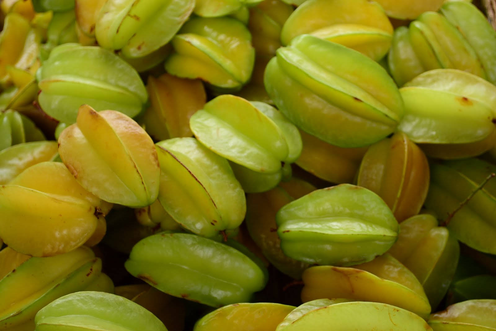 Free Star Fruit Wallpaper Downloads, Star Fruit Wallpaper for FREE