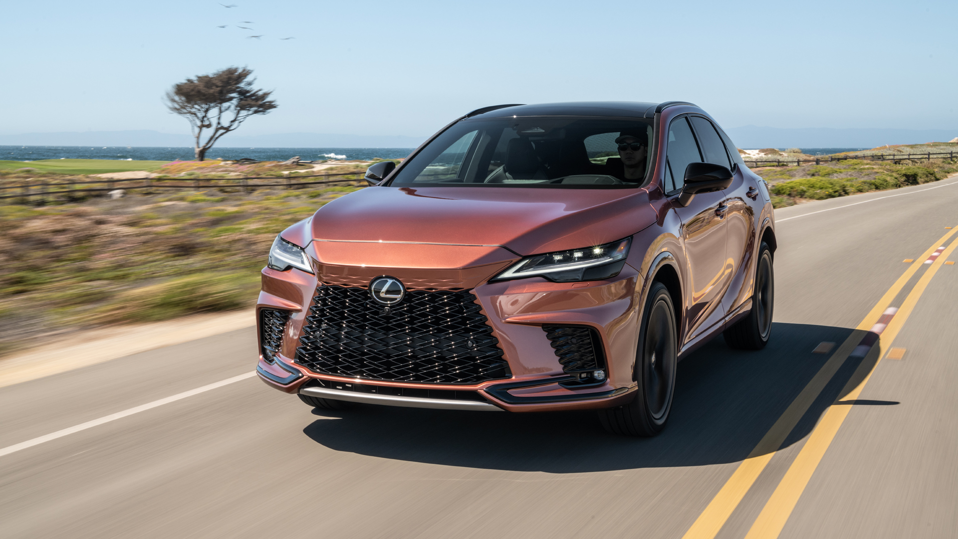 2023 Lexus RX 500h F Performance in Copper Crest Photo Gallery