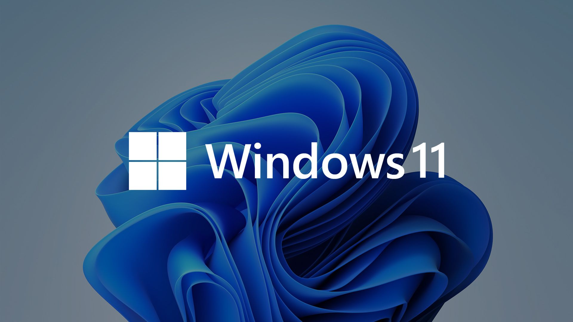Windows 11 Wallpaper Windows 11 Background Download