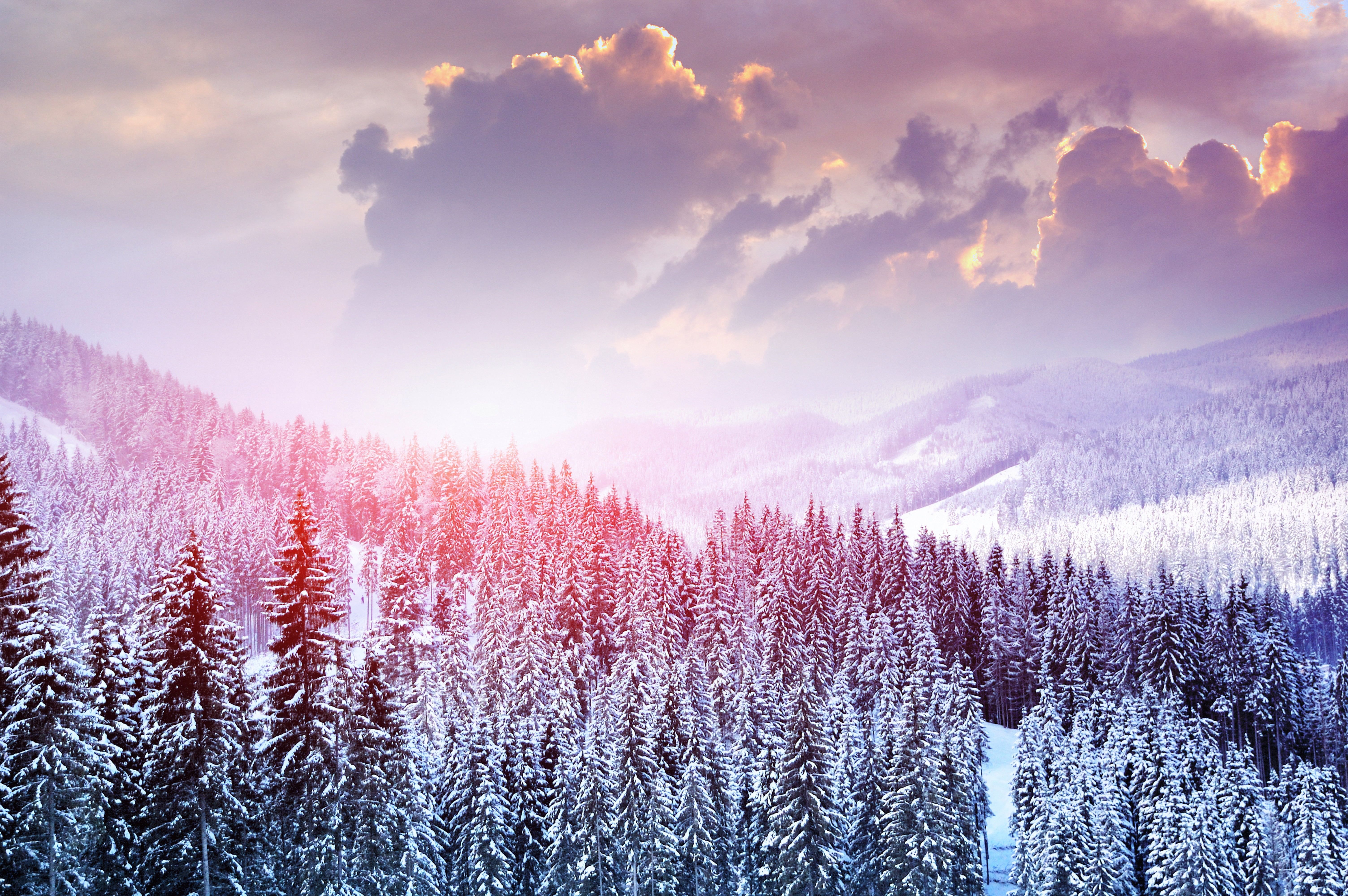 green pine trees #landscape #winter #snow #trees #mountains #forest #sky #clouds K #wallpa. iPhone wallpaper winter, Winter wallpaper, Winter background iphone