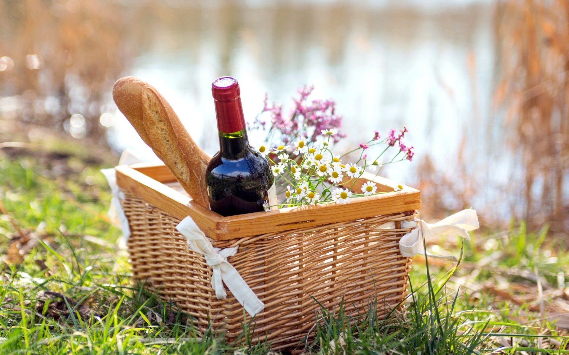 Picnic HD Wallpaper