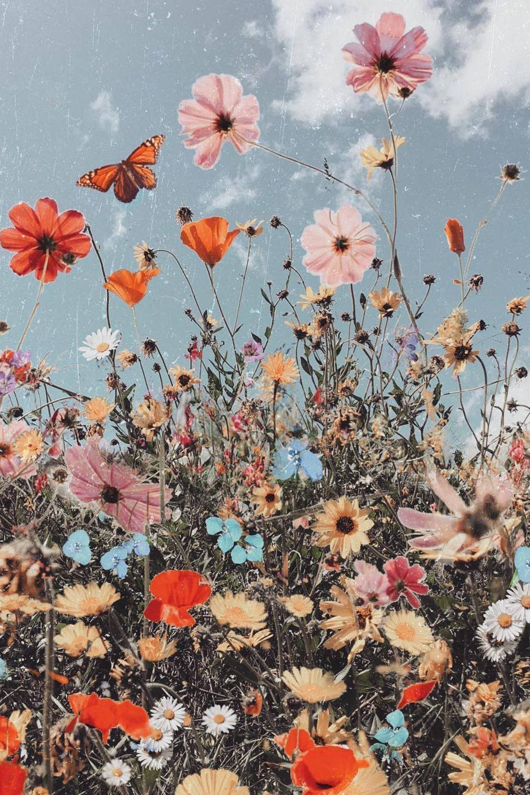 Download Beautiful Garden And Flowers Boho iPhone Wallpaper