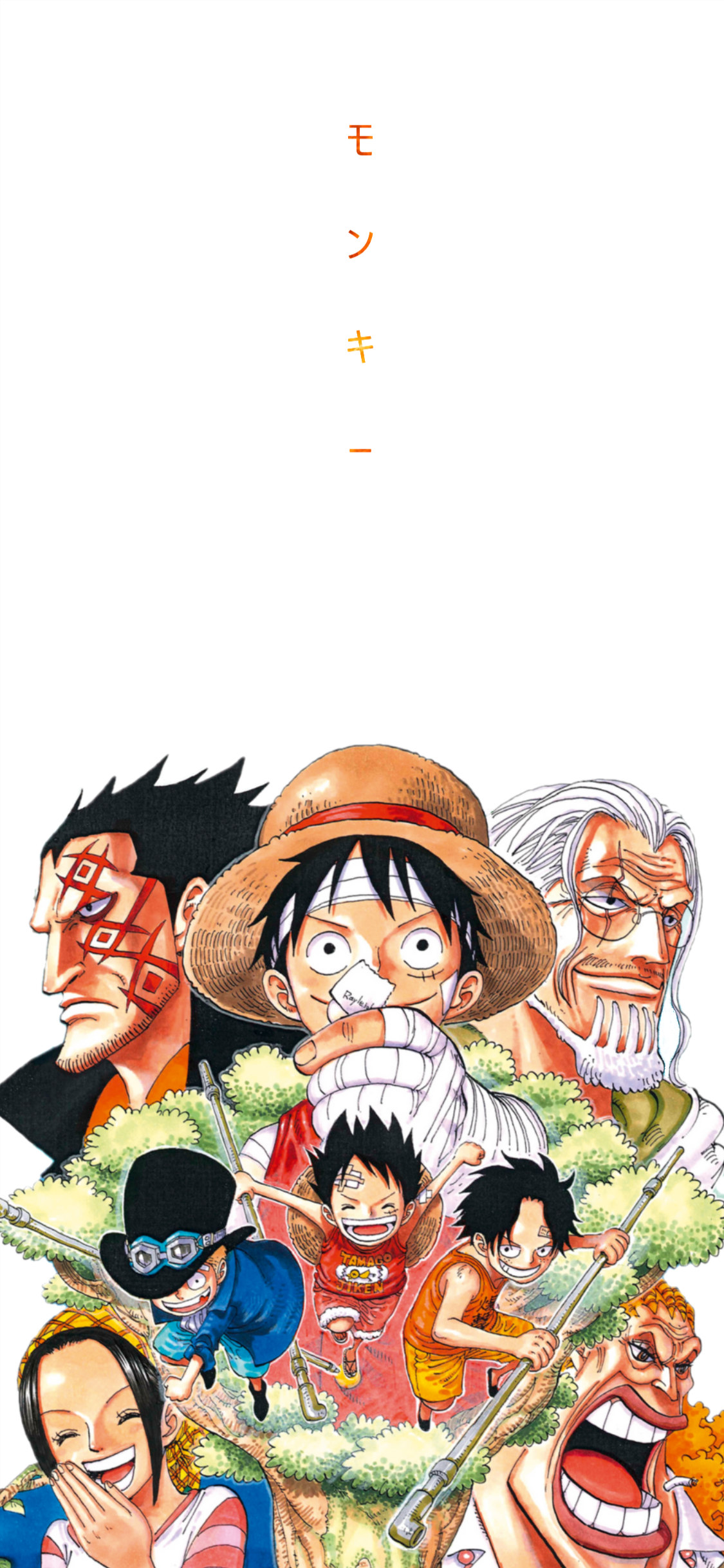 One Piece wallpaper. Fond d'ecran dessin, Personnages graffiti, Dessin dbz