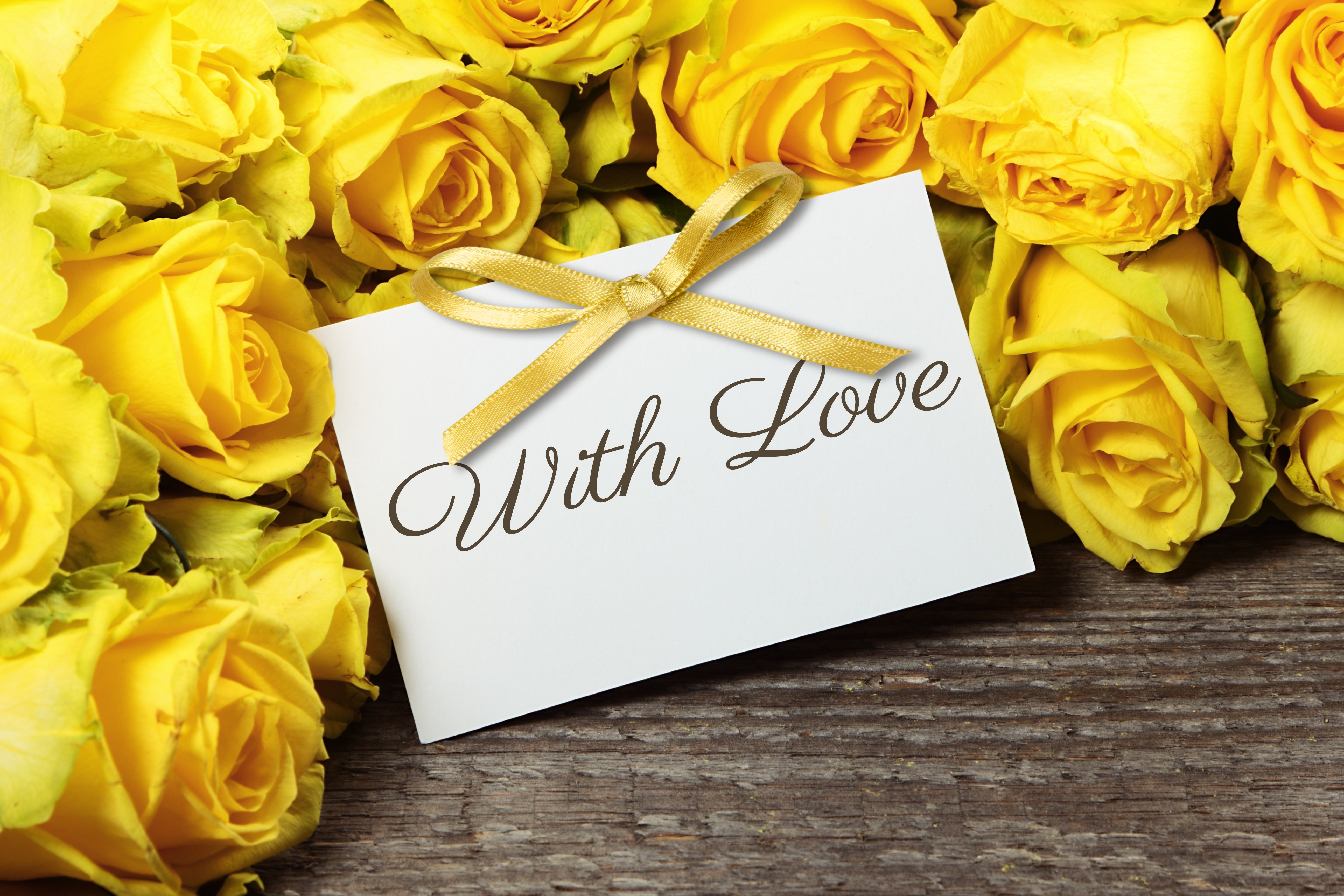 4K, 5K, with love romantic, Roses, Yellow Gallery HD Wallpaper