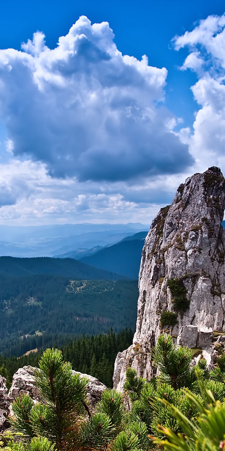 alcatel 5 Wallpaper HD