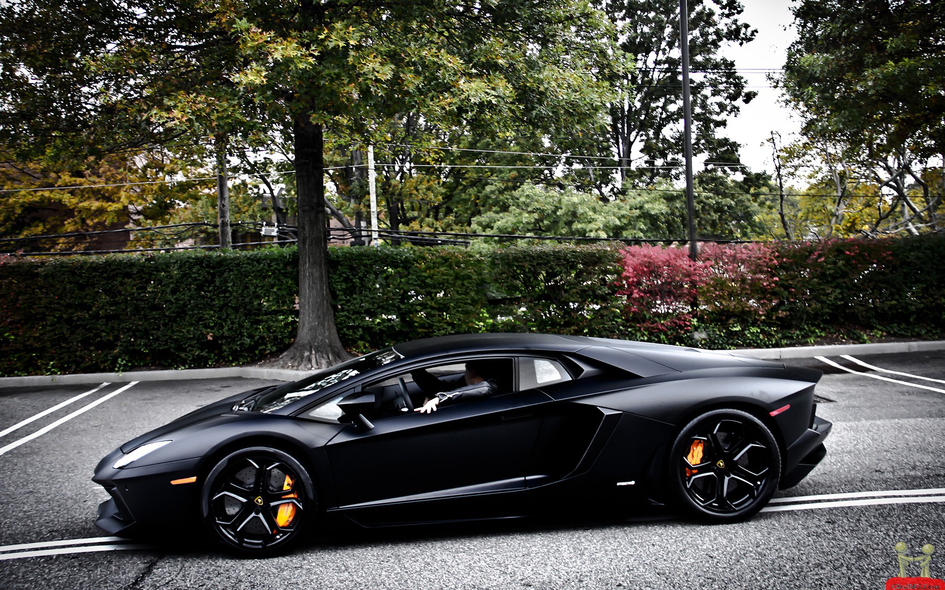Lamborghini Aventador Black Matte HD wallpaper