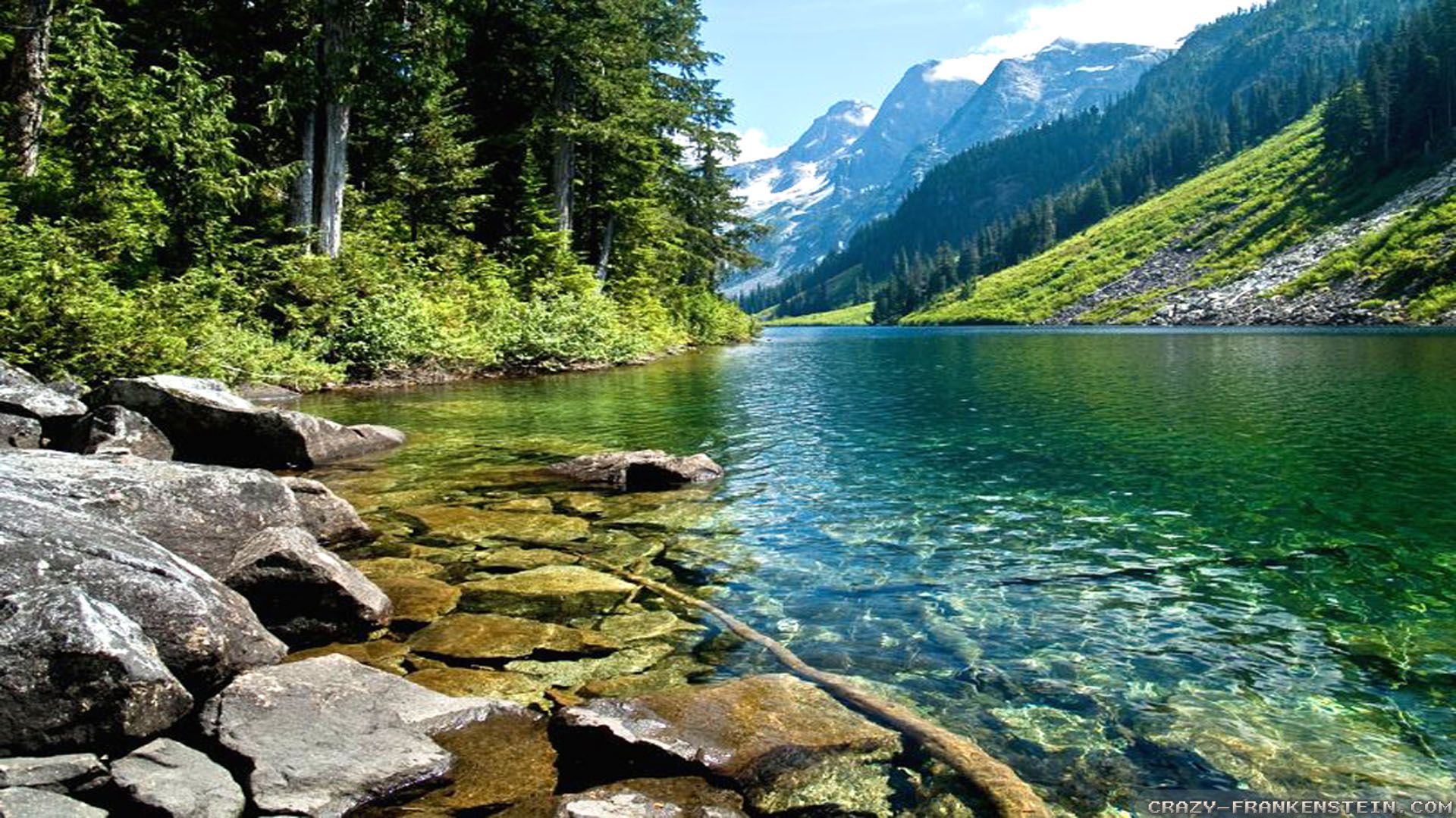 Best Free Spring Wallpaper for Desktop DesignDune 1920×1200 Spring Wallpaper (43 Wallpaper). Adorable Wa. Spring image, Take better photo, Spring wallpaper