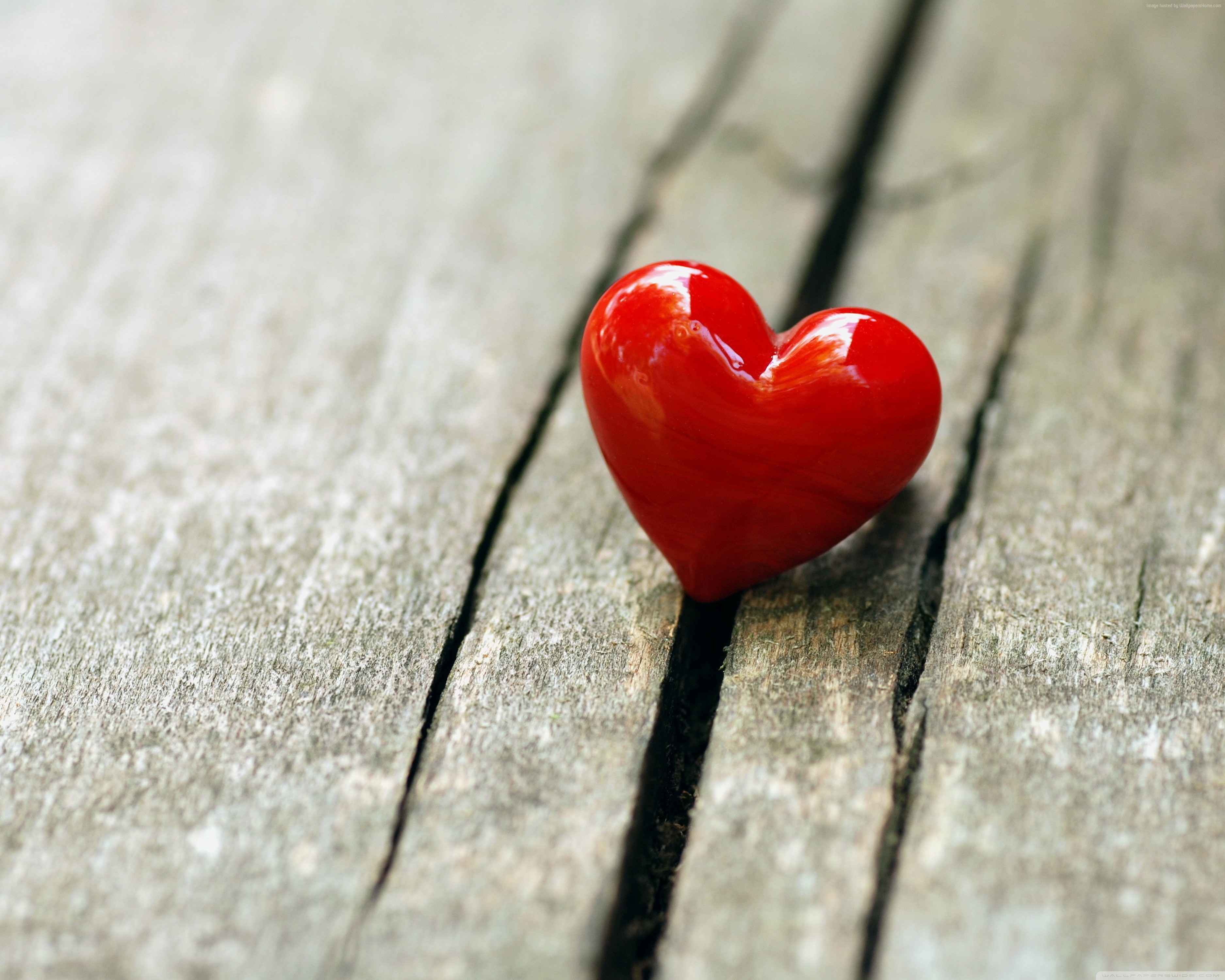 Valentines Day, gift, , February 14, love, holiday, heart Gallery HD Wallpaper