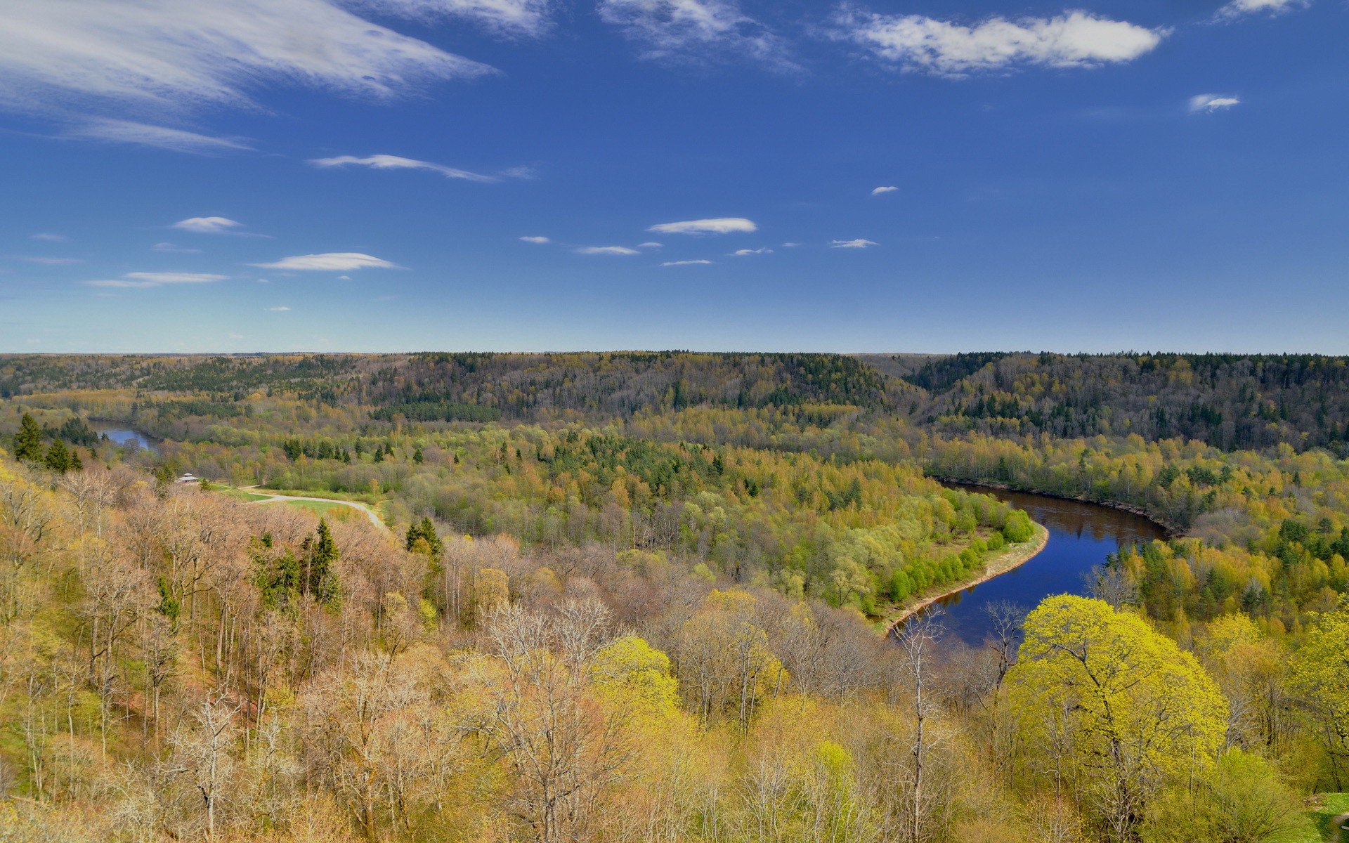Spring Forest Sigulda Latvia wallpaper. Spring Forest Sigulda Latvia