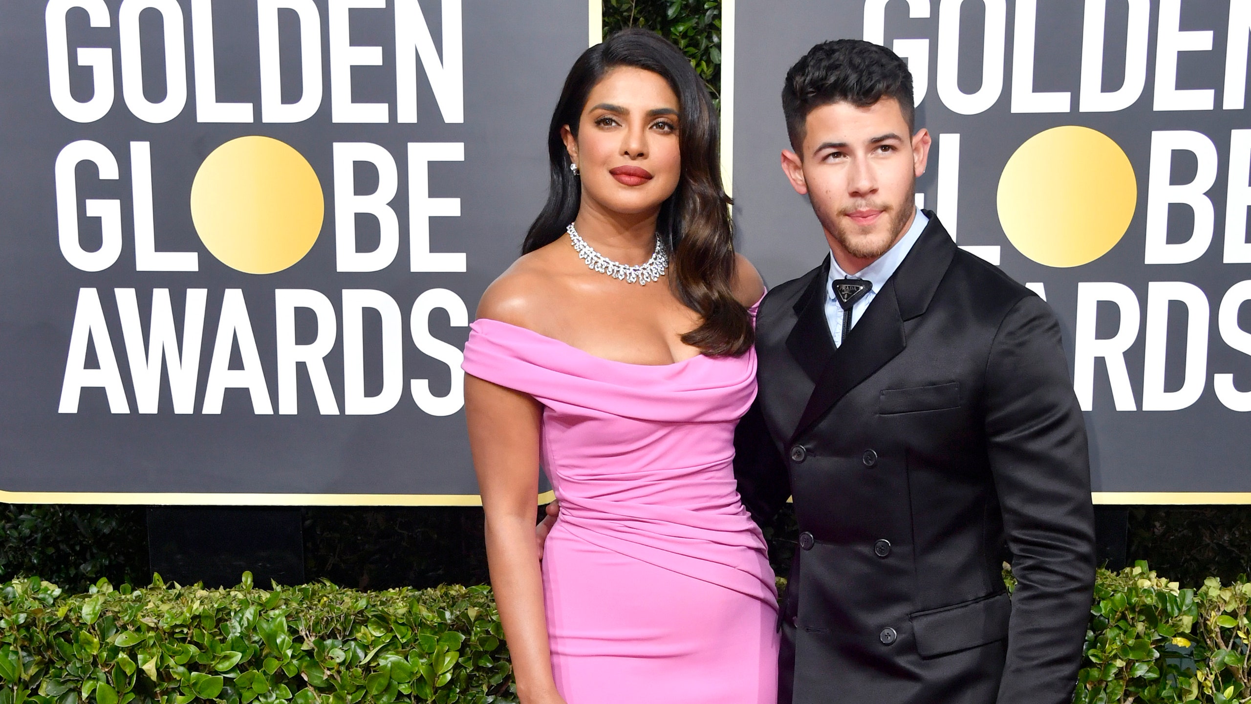 Nick Jonas and Priyanka Chopra Adopt Husky Australian Shepherd Dog