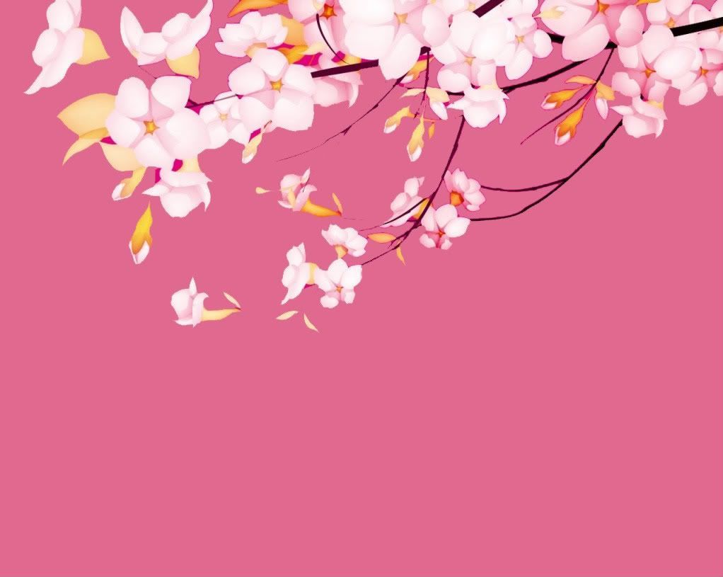 Sakura Wallpaper 4 [1022x815]