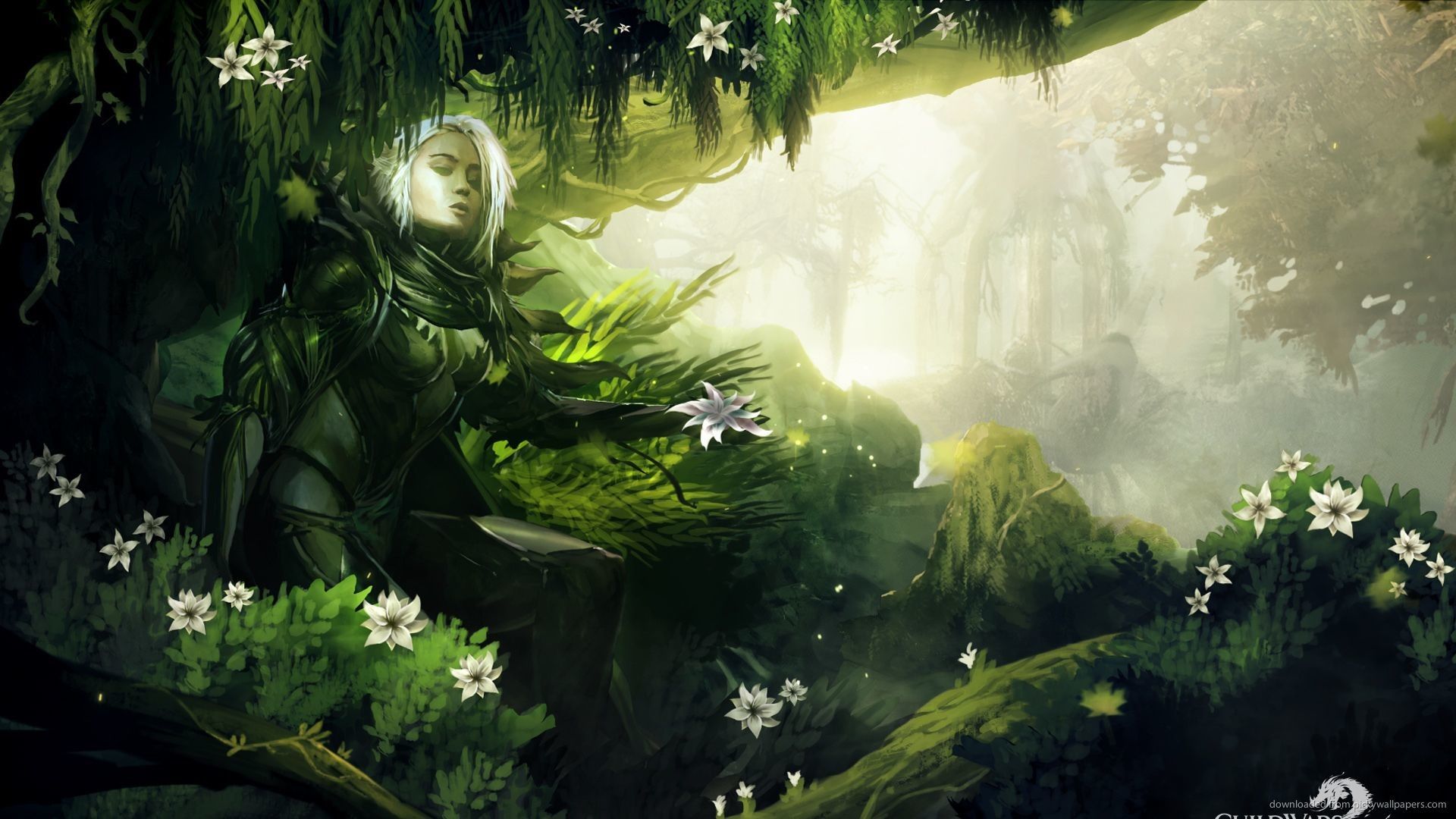 Elven Forest Wallpaper Free Elven Forest Background