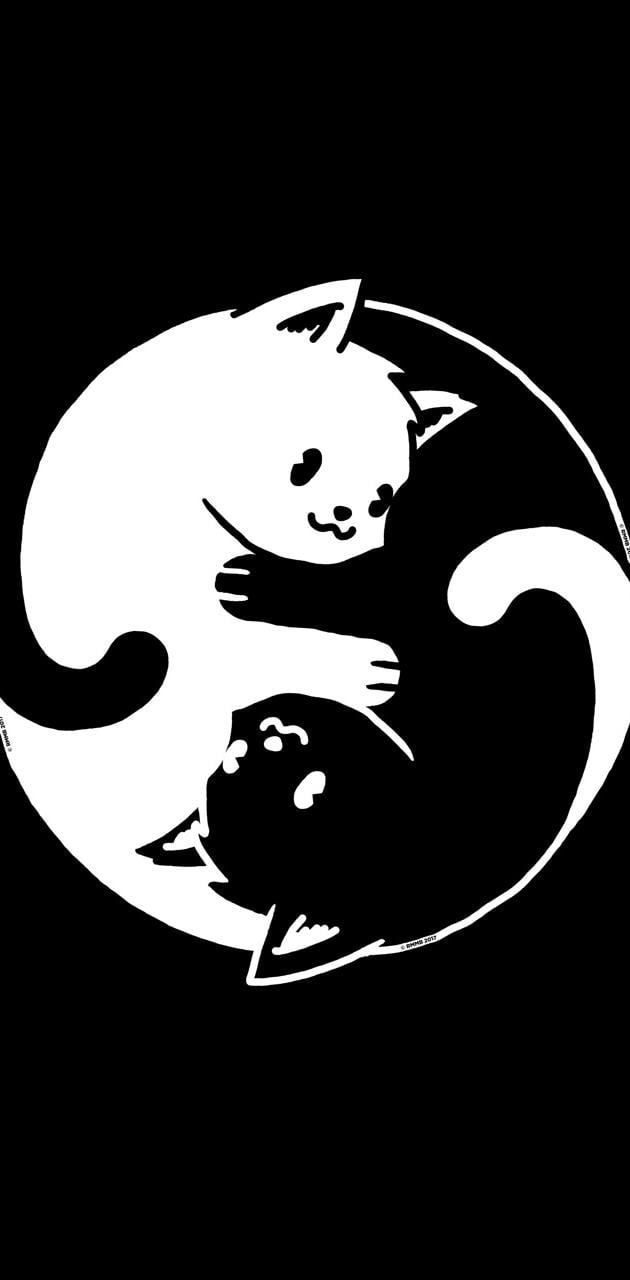 Yin yang cat wallpaper