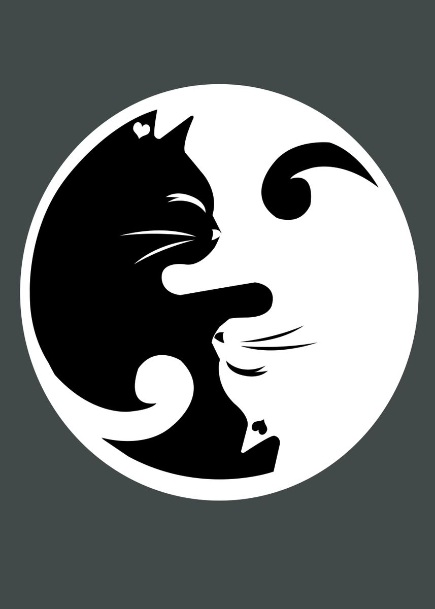 Cats Ying Yang' Poster