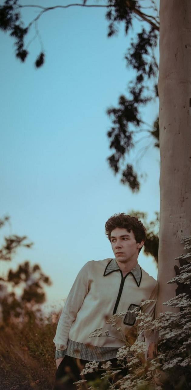 mark mckenna wallpaper