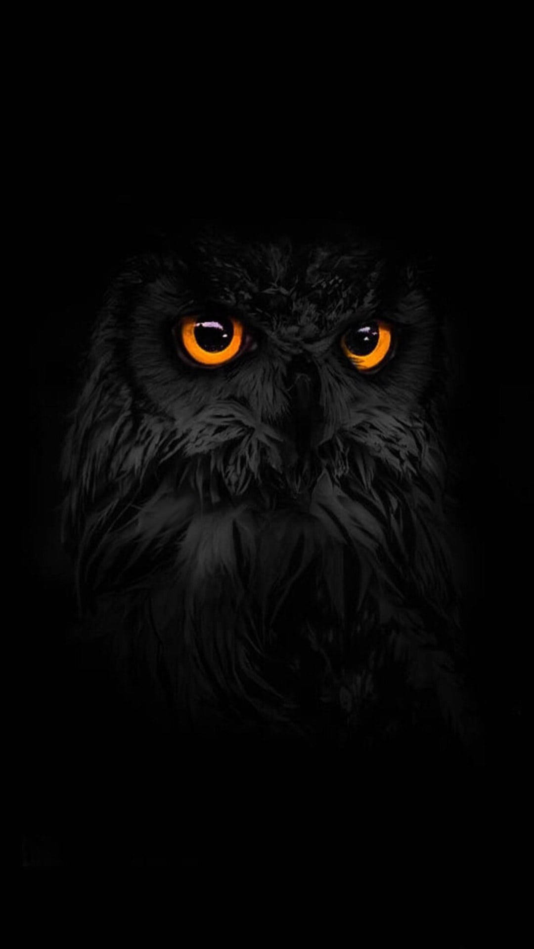 Download Dark Android Eurasian Owl Eyes Wallpaper