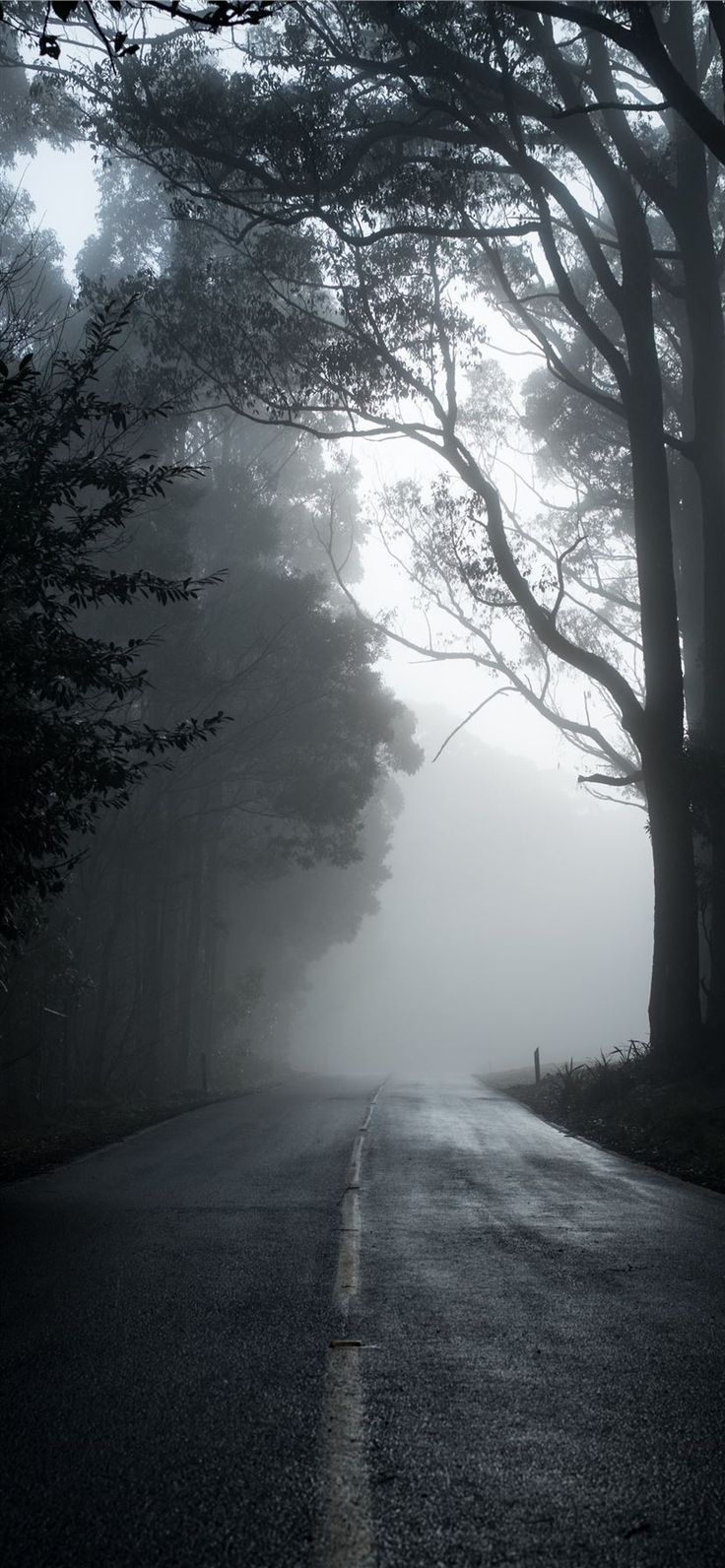 gray road in between trees in grayscale photograph. #forest #dark #tree #nature #cloud #iPho. Dark black wallpaper, Clouds wallpaper iphone, Dark grey wallpaper