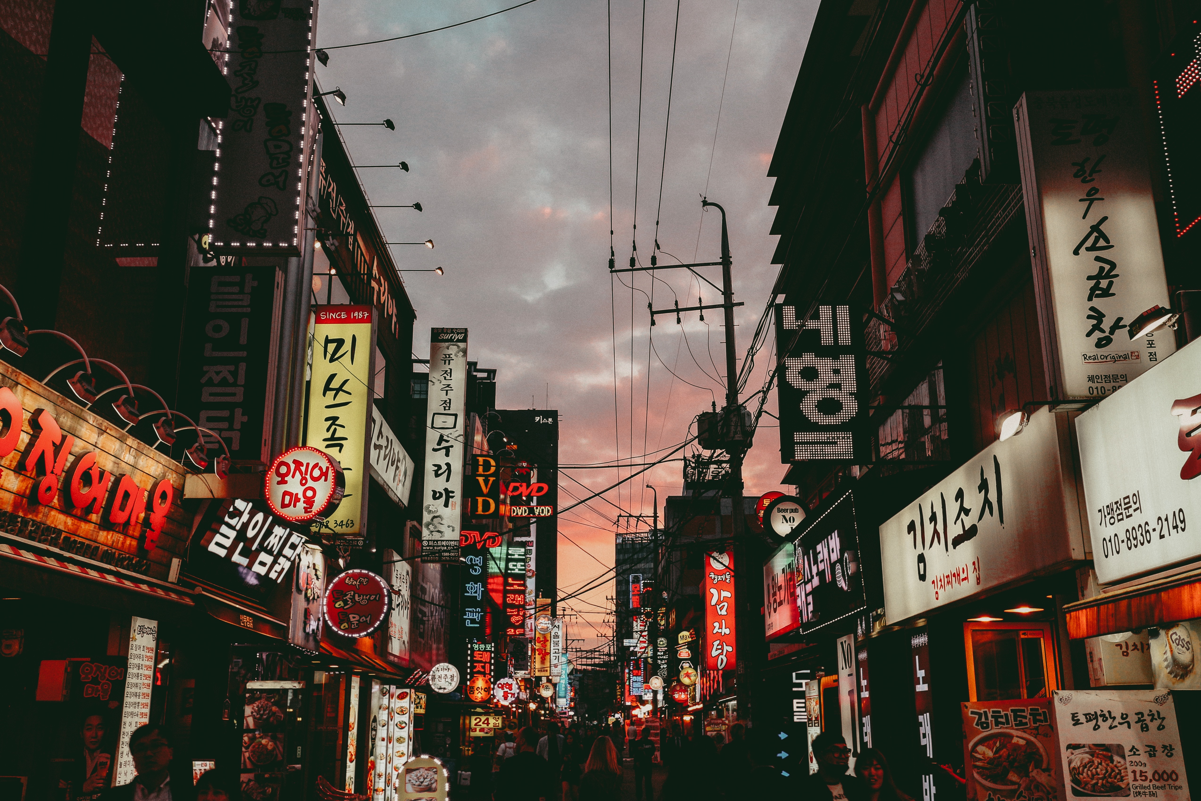 5092x3395 neon, asian street, asium, dark, street sign, sign, moody, crowd, city, dusk, asia, Public domain image, korea, night, market, rage, street, urban Gallery HD Wallpaper