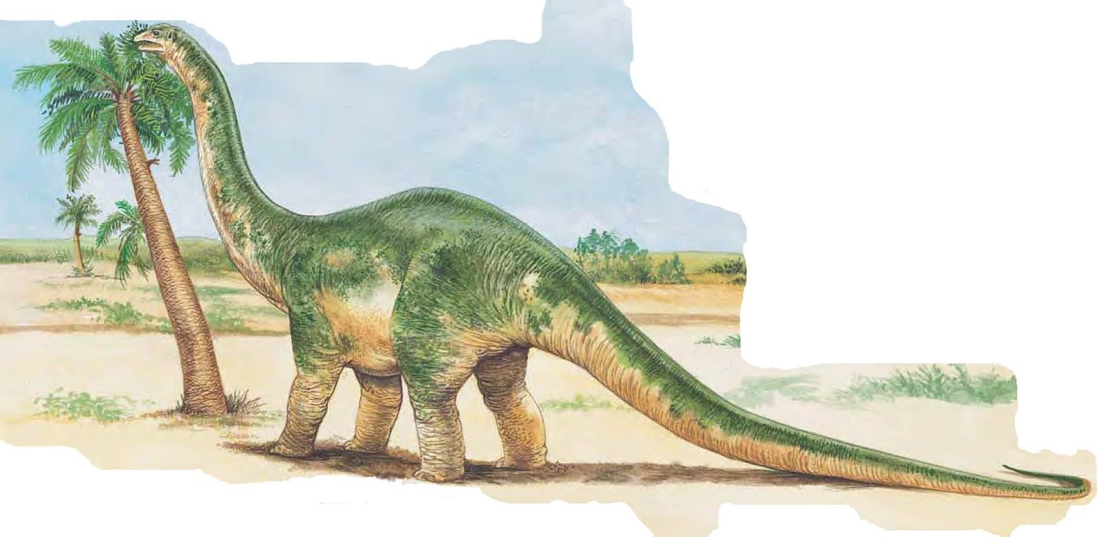 Apatosaurus Wallpaper. Fun Animals Wiki, Videos, Picture, Stories. Dinosaur, Wallpaper, Animals