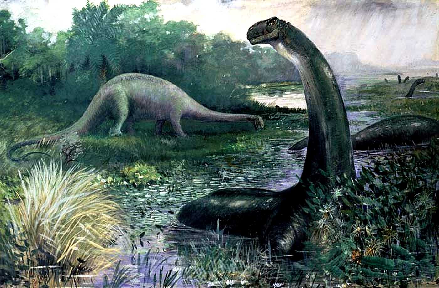 Apatosaurus Wallpaper Cute and Docile